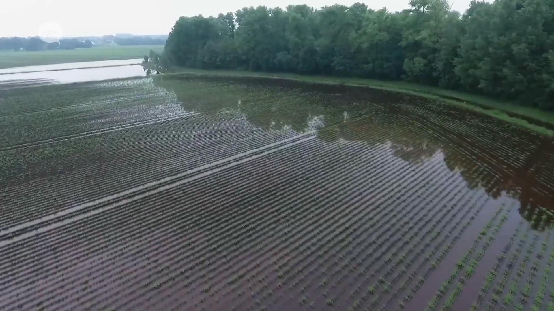 Uit eigen grond:  Aflevering 3