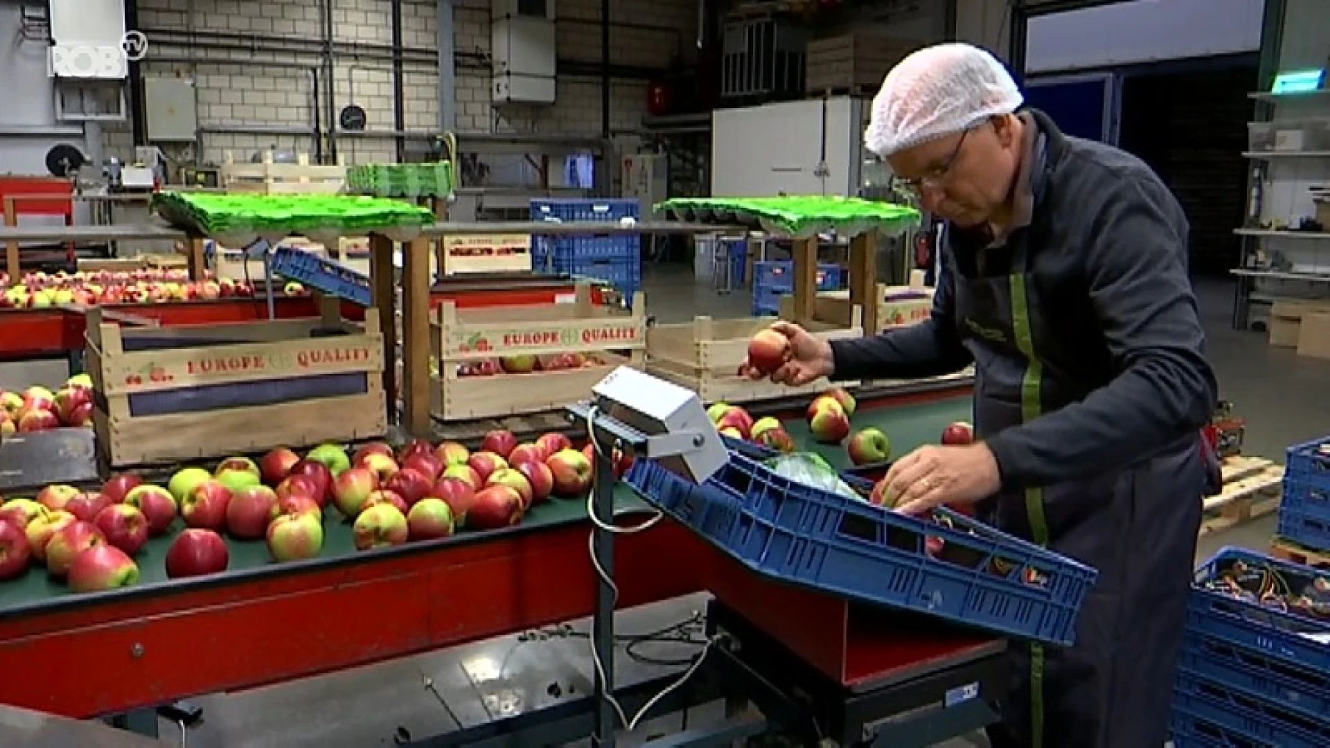 Minister Koen Geens als fruitplukker?