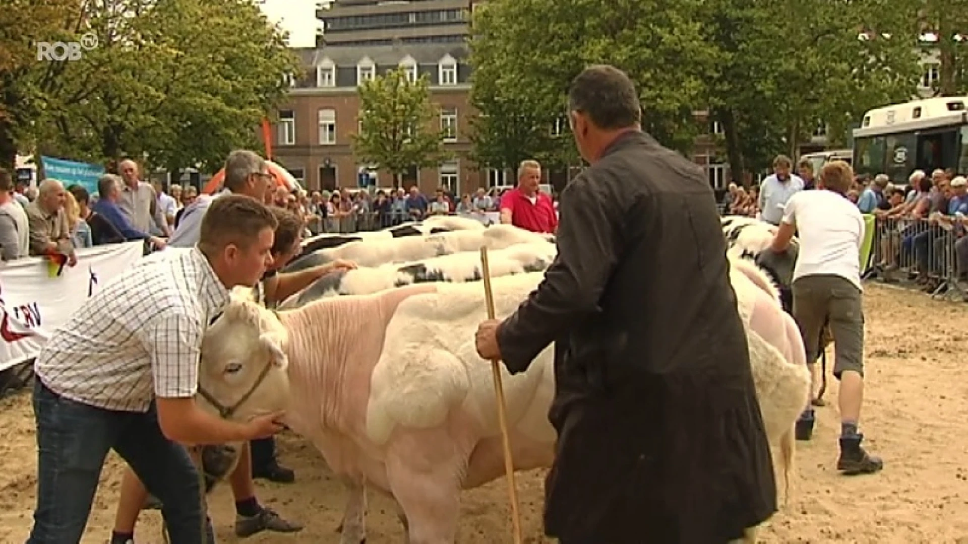 Leuvense Jaarmarkt vol sfeer en gezelligheid