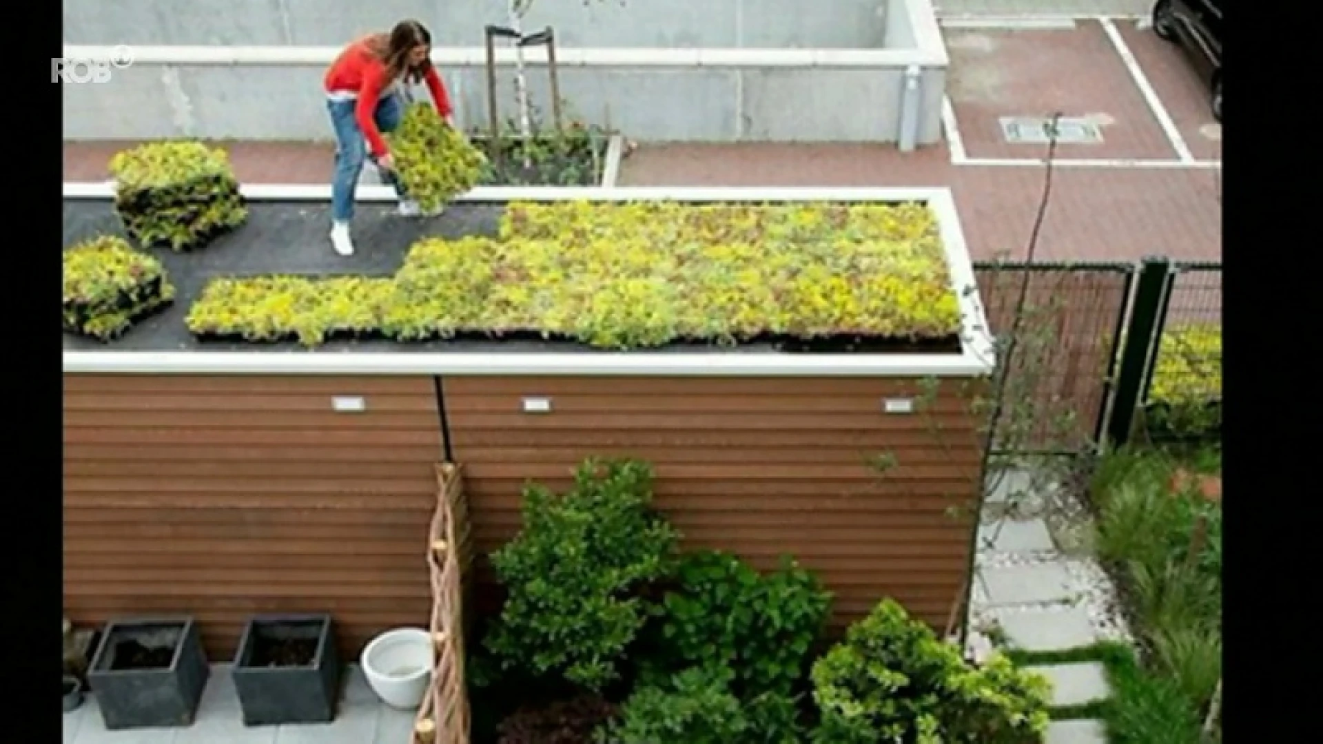 Een groen bedje voor je dak