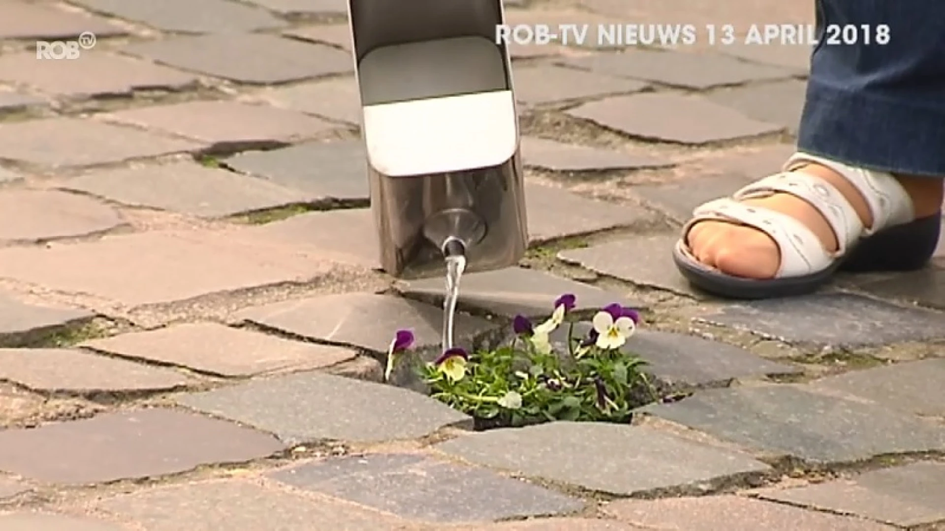 TERUGBLIK 2018: Ramberg in de bloemetjes