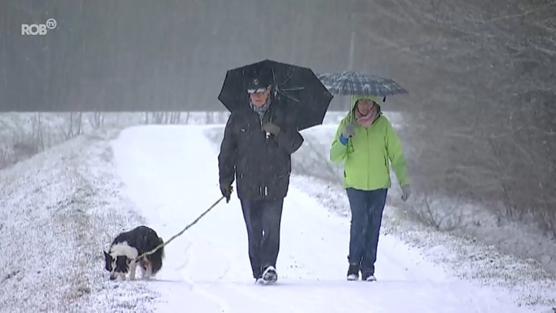 Herbeleef de eerste sneeuwdag van 2019 in onze regio