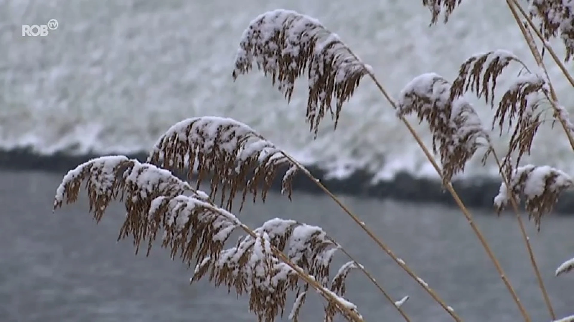 Van Tervuren tot Landen, zo trok sneeuwzone vanmorgen over onze regio