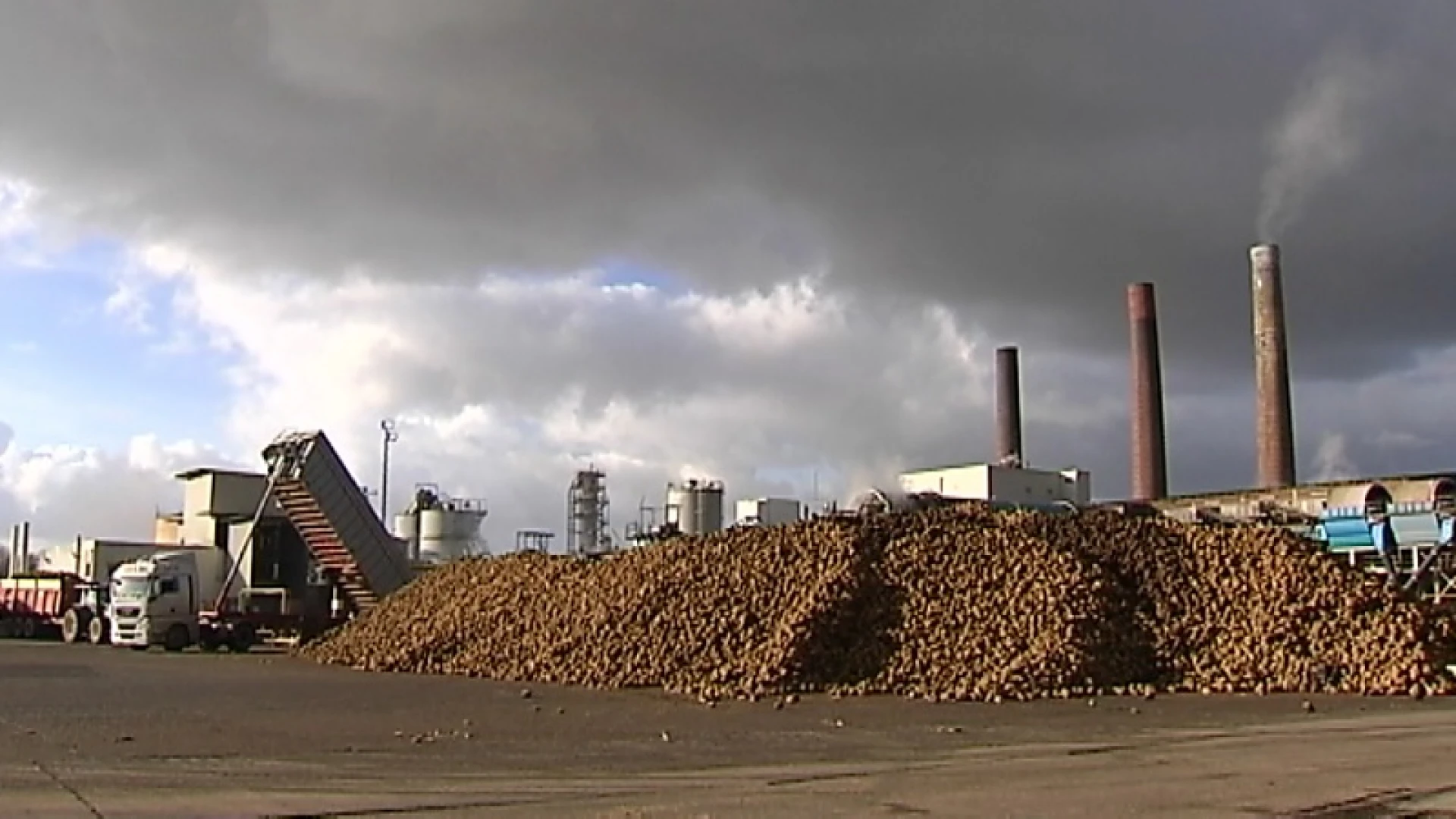 Goed nieuws voor Tiense suikerfabriek, de vestiging blijft