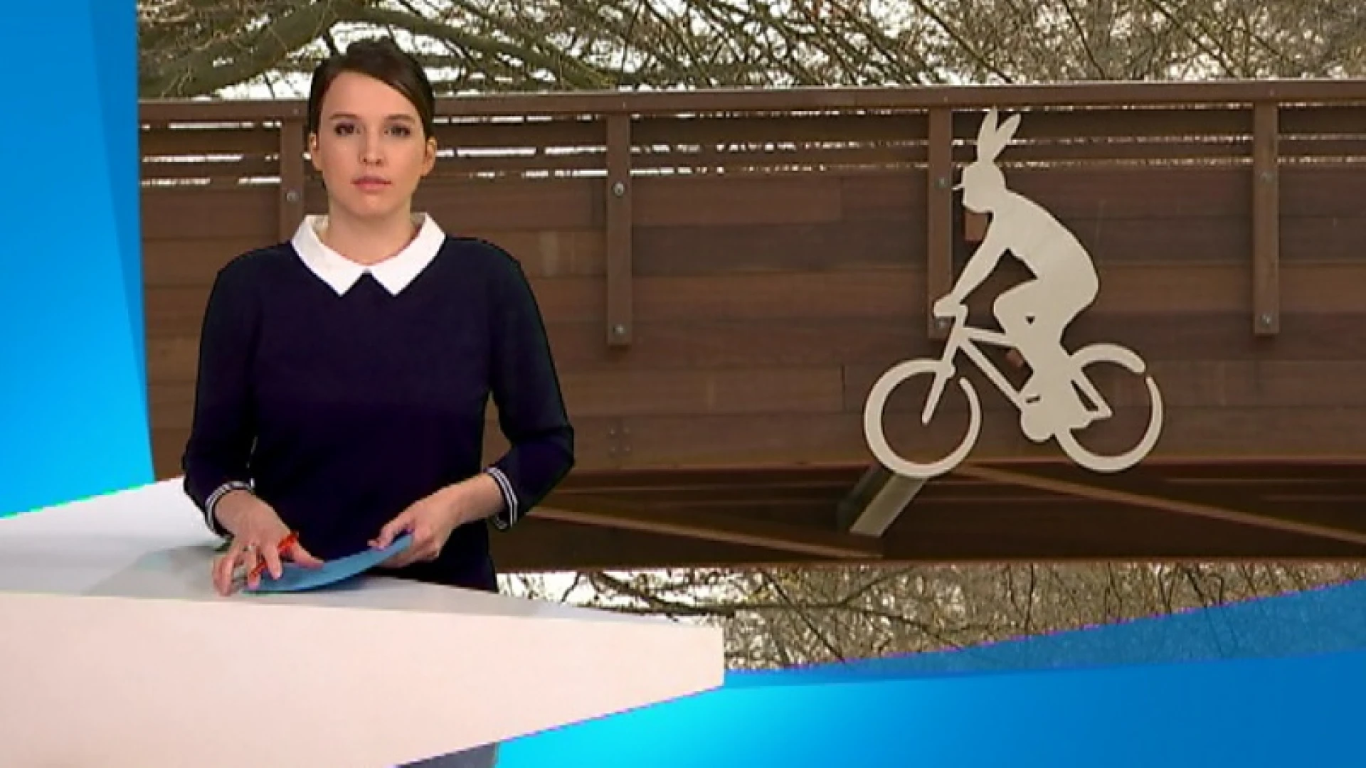Houten fiets -en voetgangersbrug in Oud-Heverlee staat er op amper halve dag