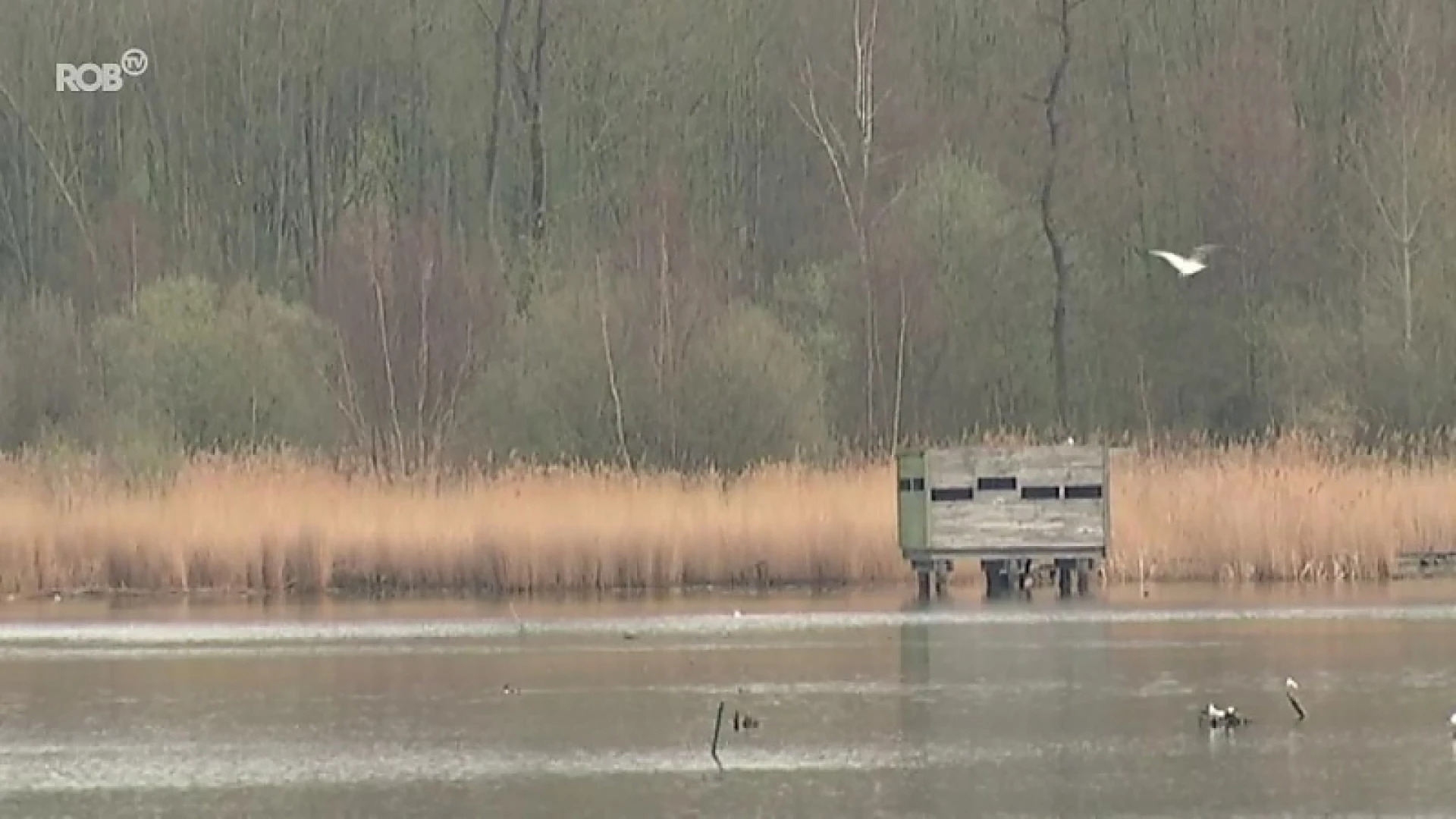 Vanaf juni wordt het meer in "Het Vinne" leeggepompt