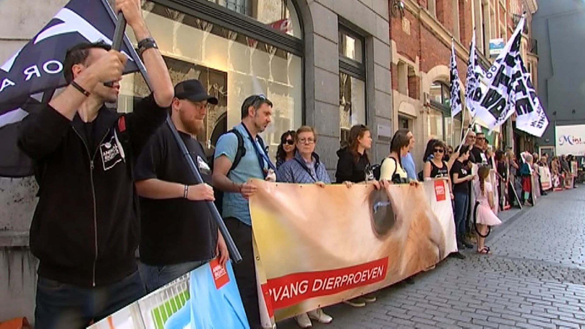 Activisten protesteren tegen buitenlandse dierenproeven KU Leuven