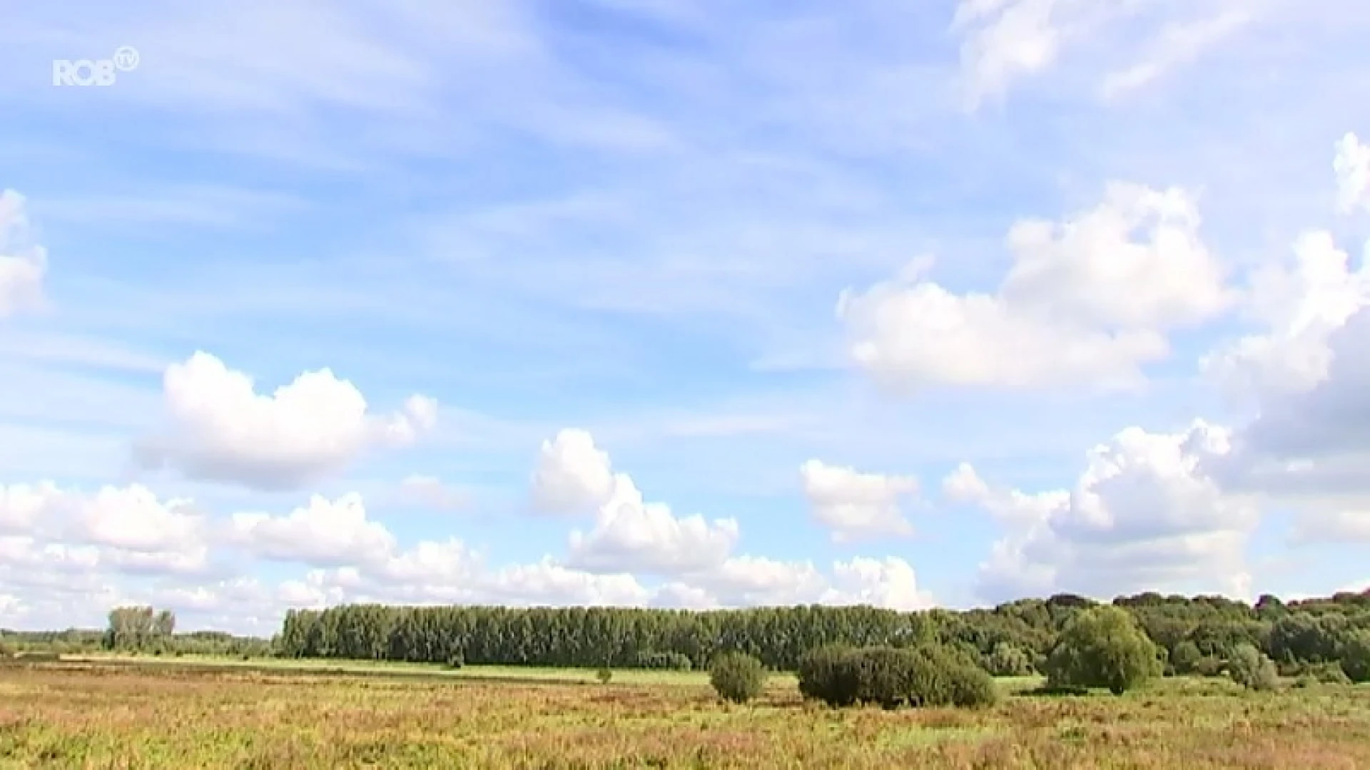 10 hectare bos verdwijnt in het Webbekoms Broek