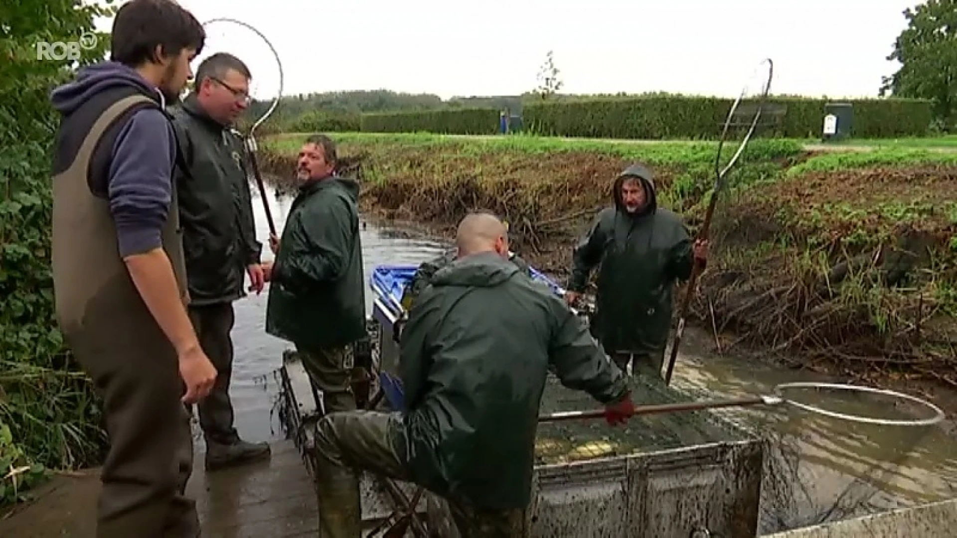 18 ton vis moet weg uit Het Vinne in Zoutleeuw om het meer volledig leeg te pompen