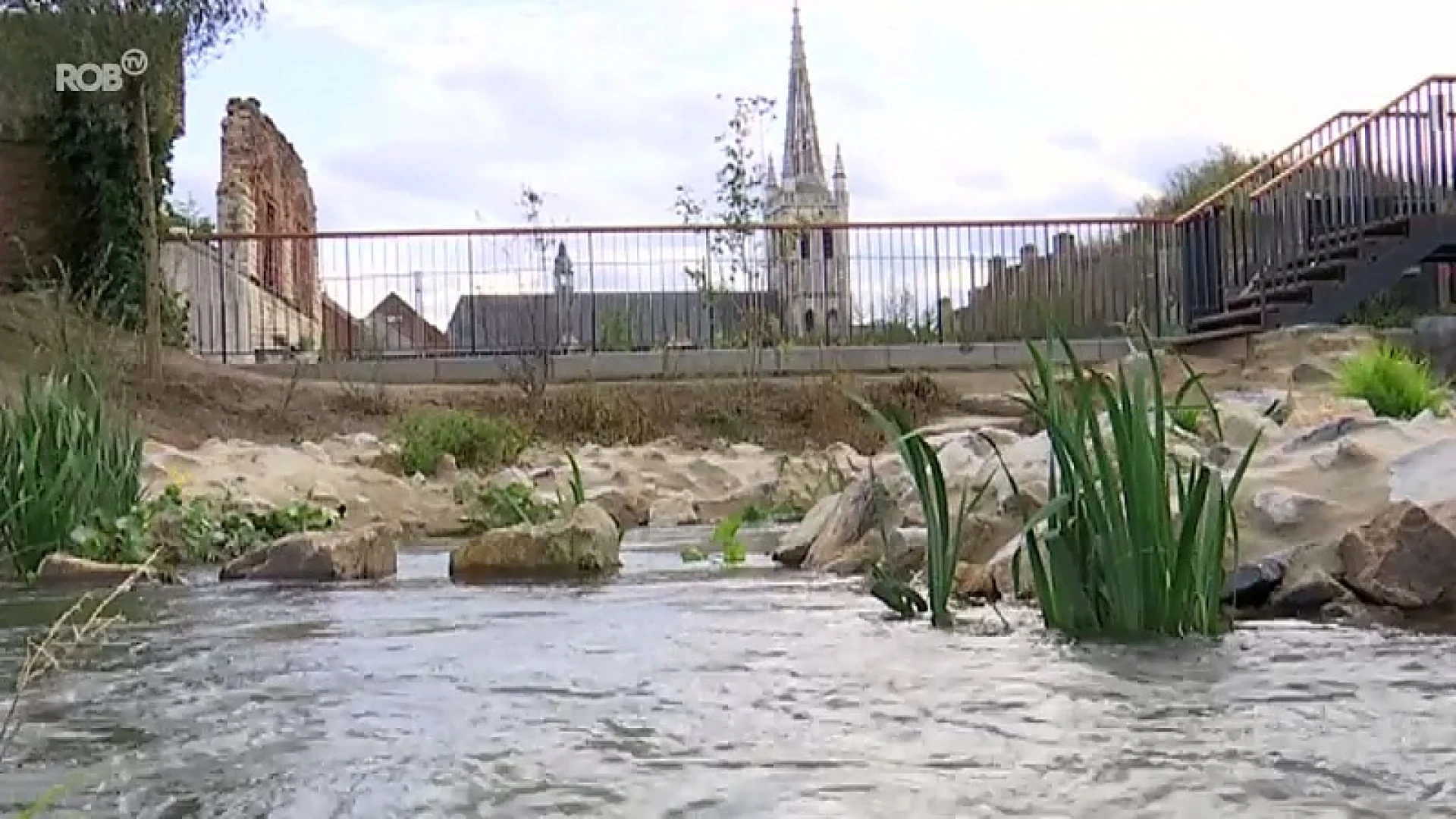 Vissen kunnen de trap nemen in nieuwe waterpartij in Sluispark Leuven