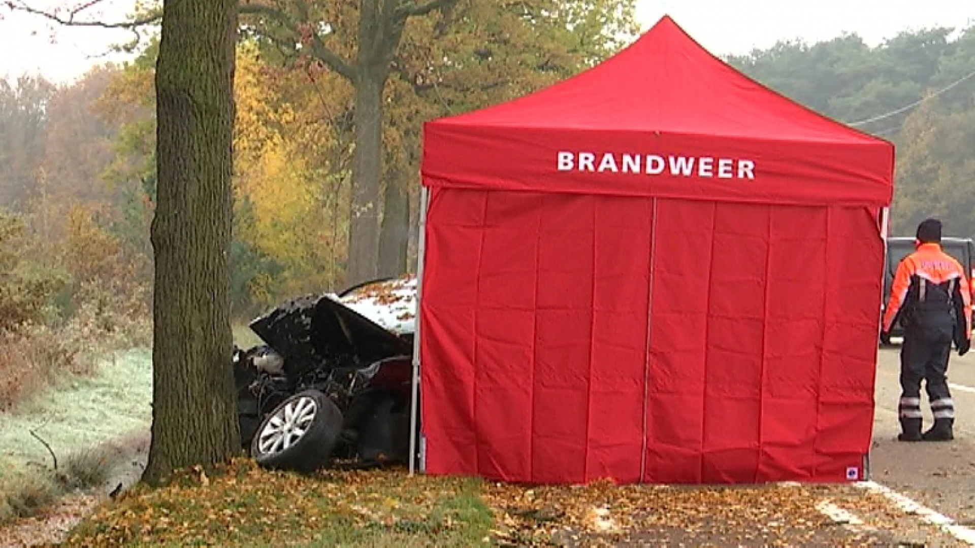 Man (50) botst tegen boom op Beringenbaan in Schaffen en overlijdt ter plaatse