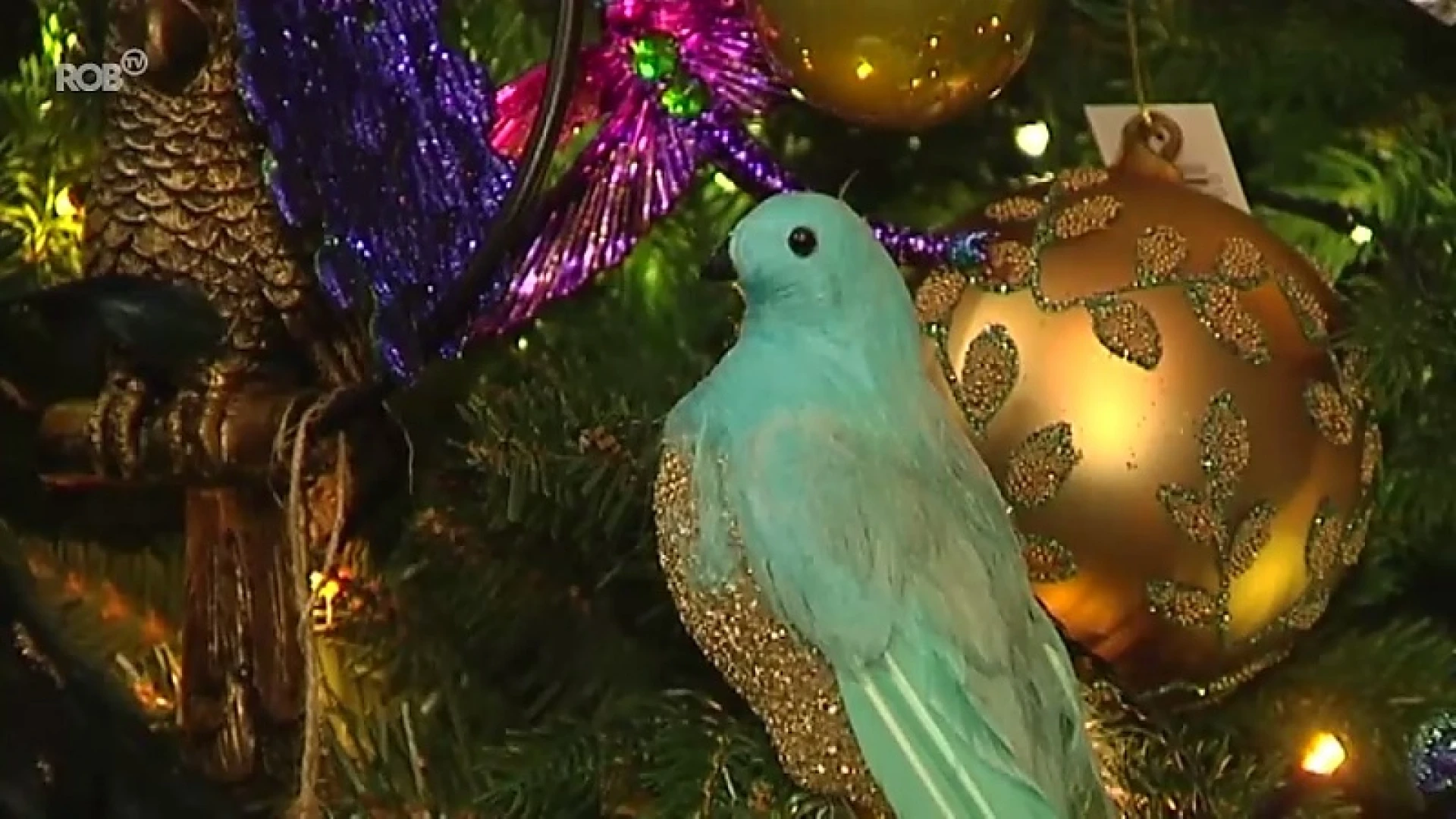 Bij pop-up winkel Woauw in Aarschot pluk je je kerstdecoratie zelf uit de bomen