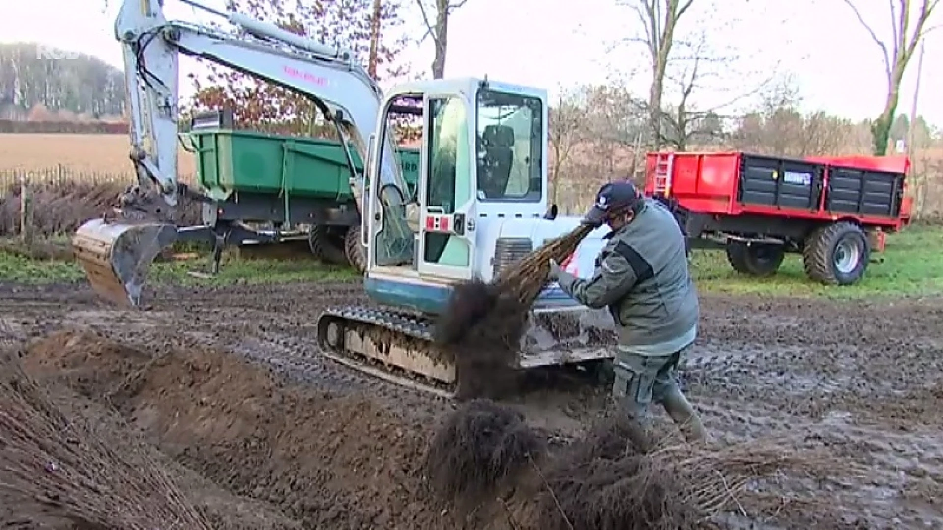 54.000 nieuwe bomen voor regio rond Meerdaalwoud