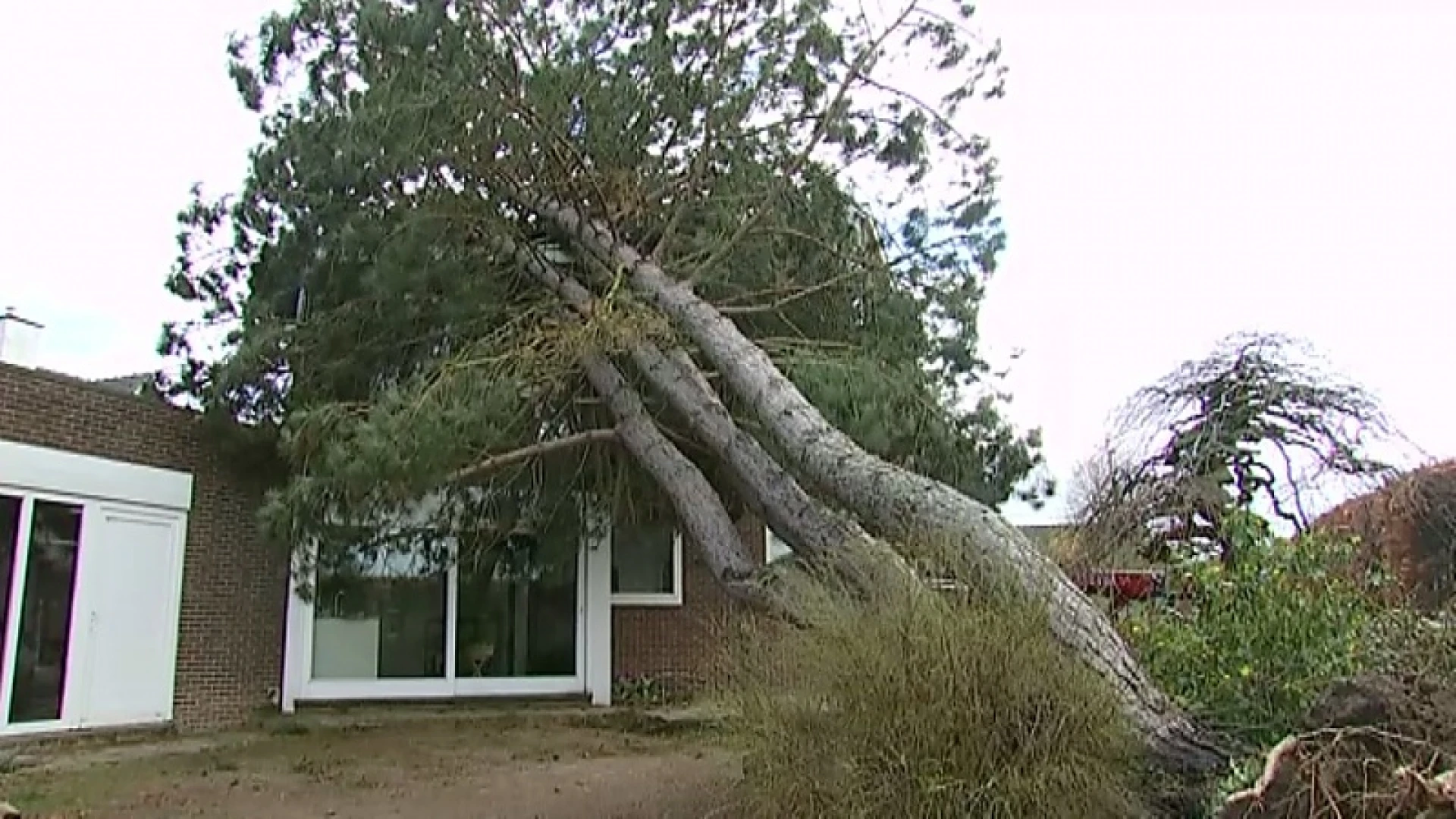 De storm die begin maart over onze regio trok, wordt erkend als algemene ramp