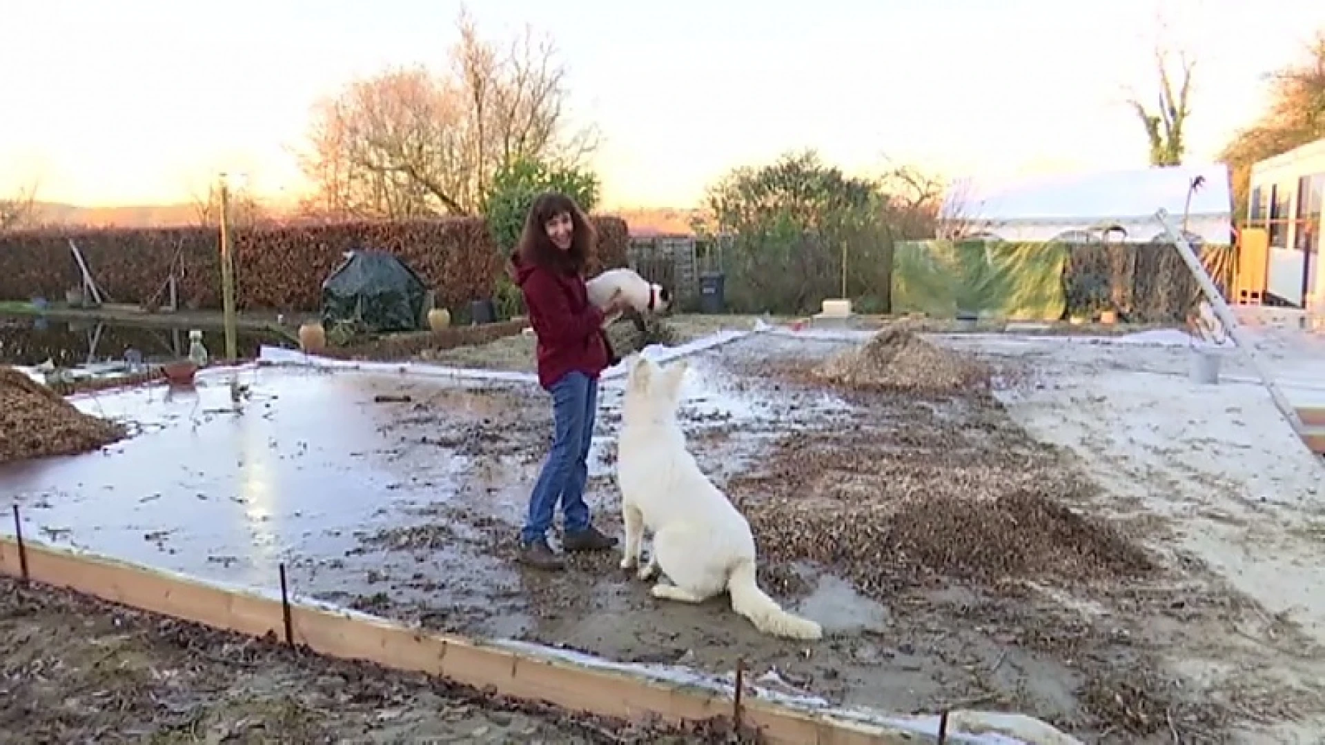 Een jaar na de verwoestende brand: "We gaan eerst het kattenpension in orde brengen en dan ons huis"