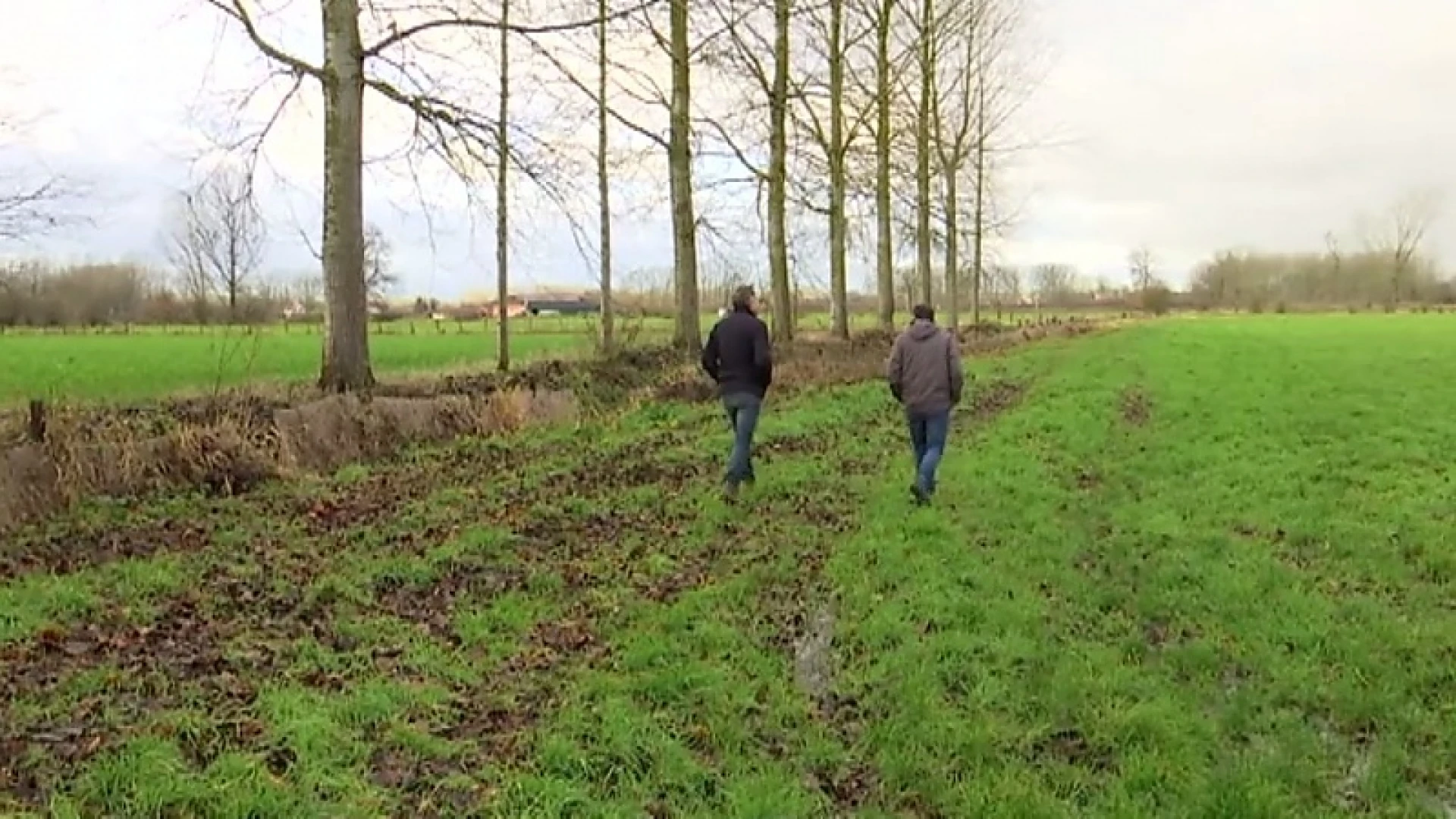 Natuurpunt gaat ruim 16 hectare bos aanplanten in Geetbets