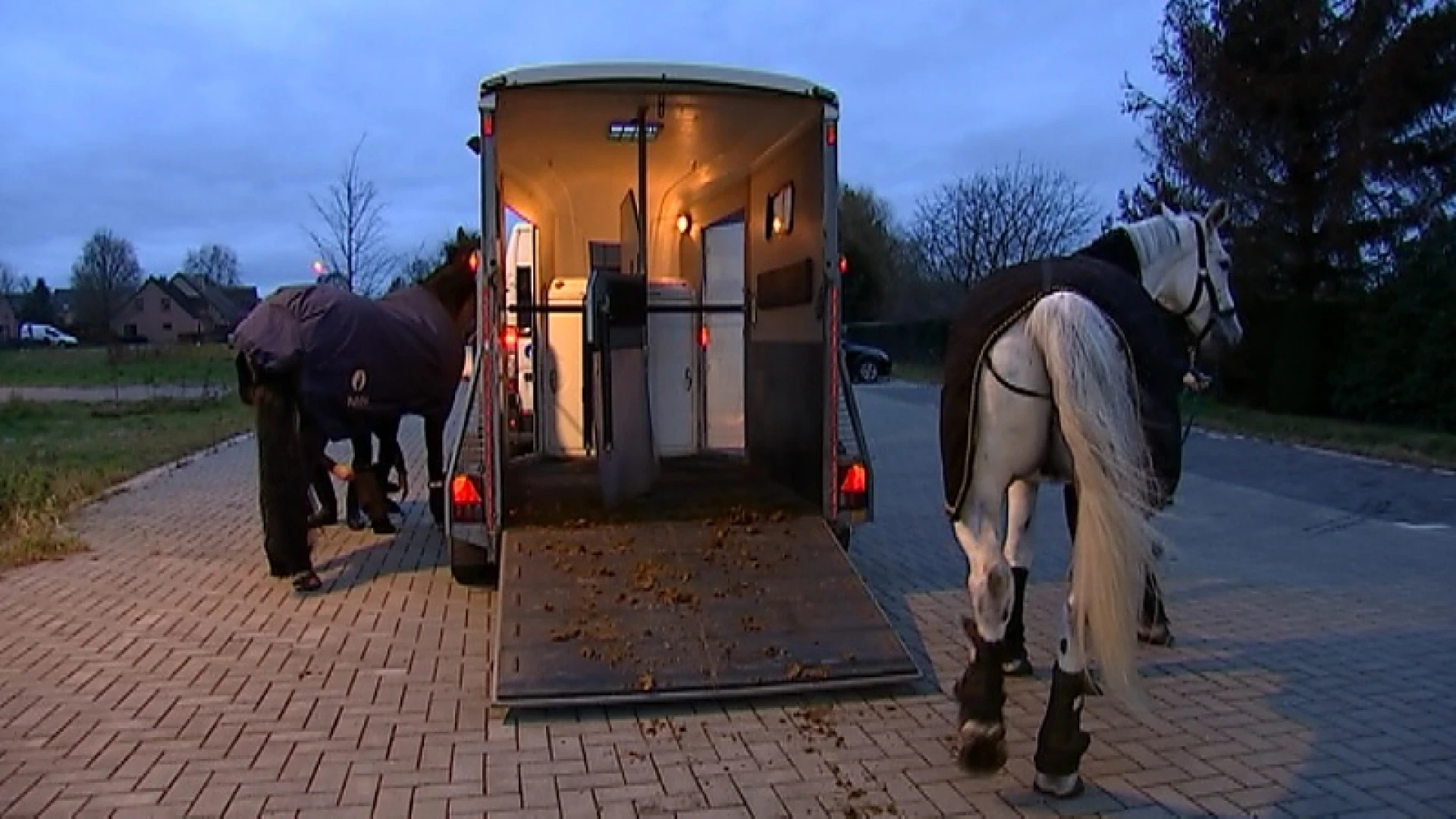 Politiepatrouille te paard trekt door Schaffen: hoge aaibaarheidsfactor maar zeker ook nuttig op het terrein