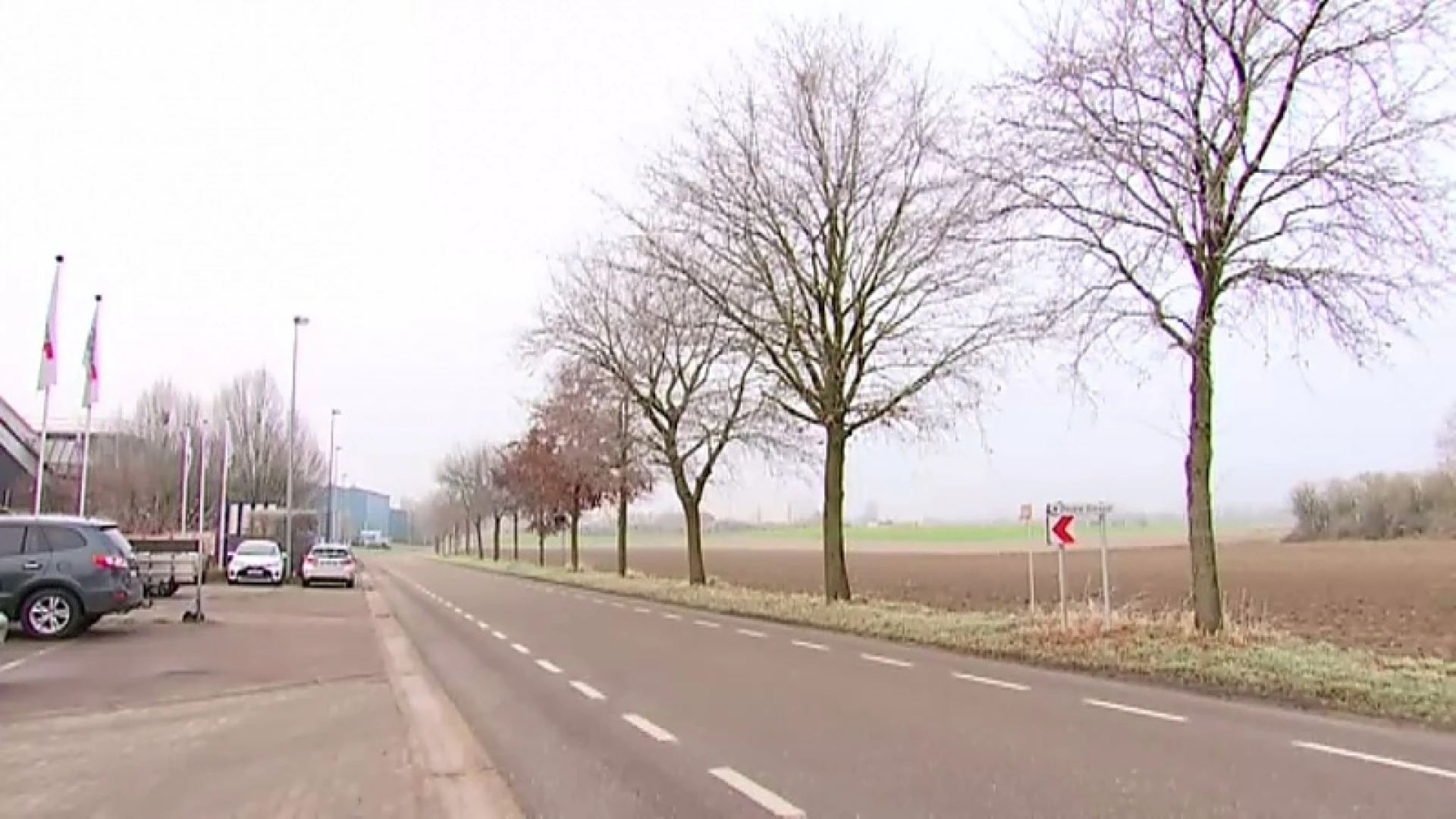 Bomenkap op industrieterrein Soldatenveld en in Billekensweg in Tienen