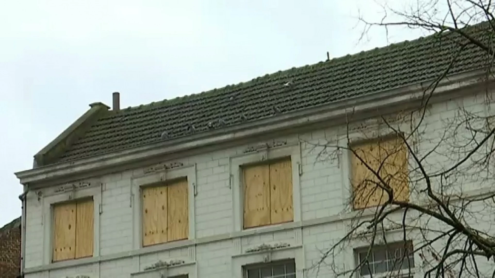 Duiven verstoren de rust op Grote Markt in Tienen