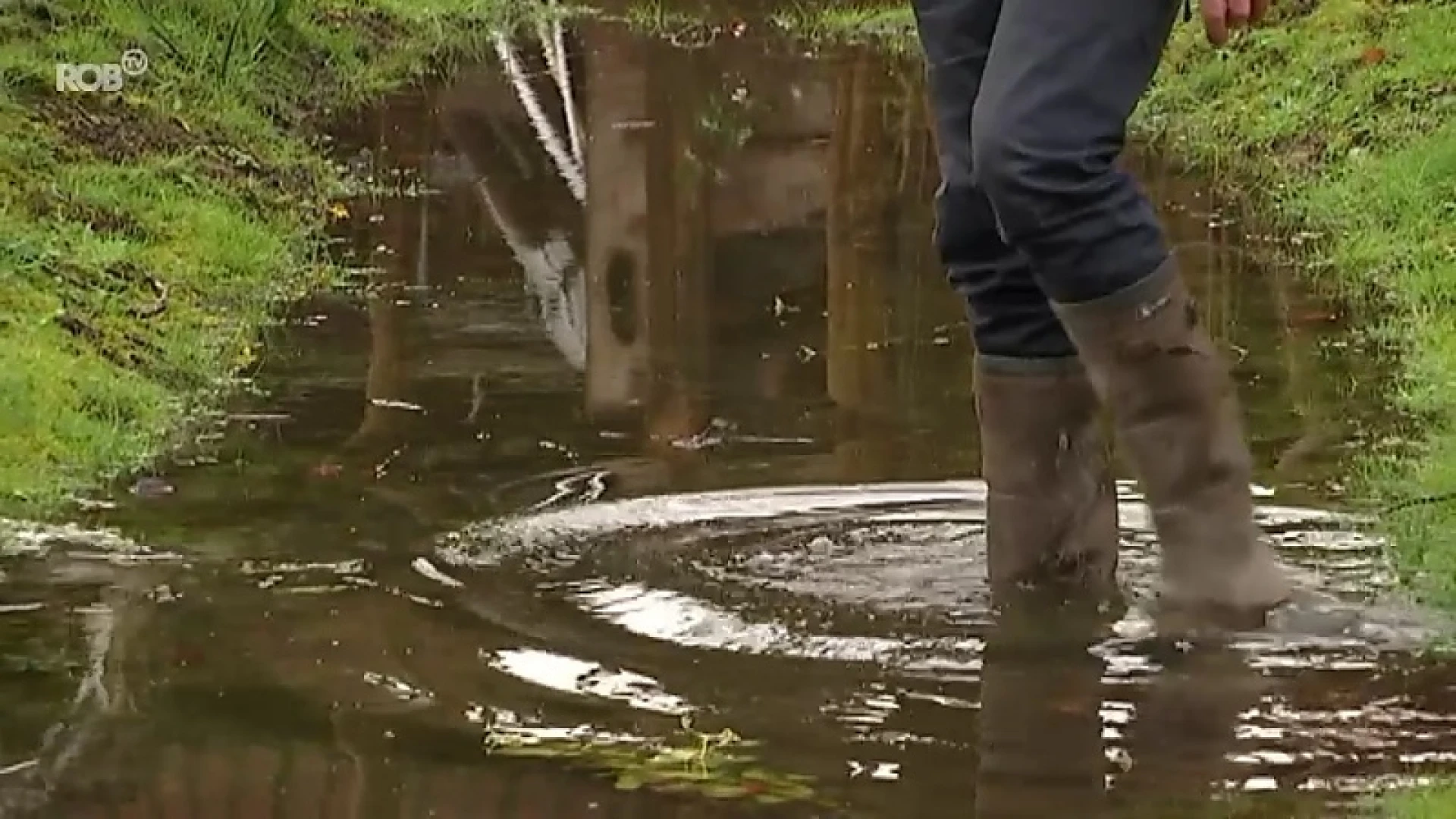 Provincie helpt tuinen aan te passen tegen wateroverlast en hitte