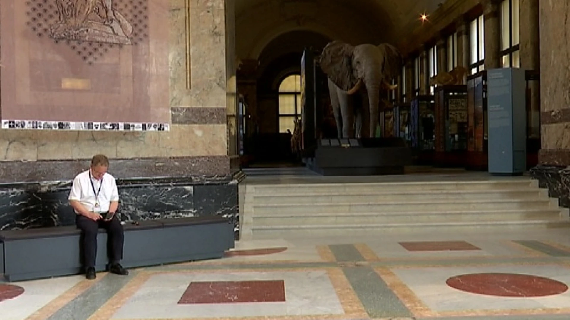 1 miljoen minder inkomsten voor Africamuseum in Tervuren