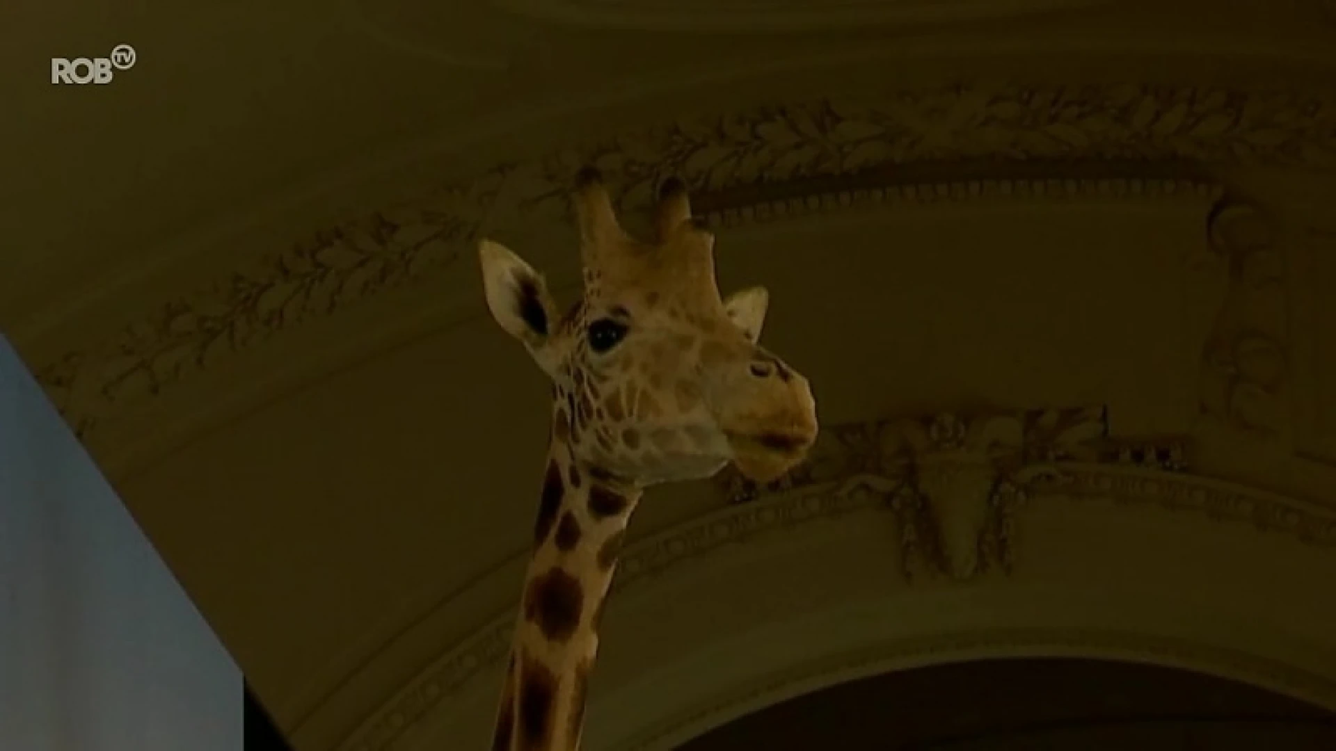 Hoofdafbeelding voor artikel Ticketverkoop Africamuseum…