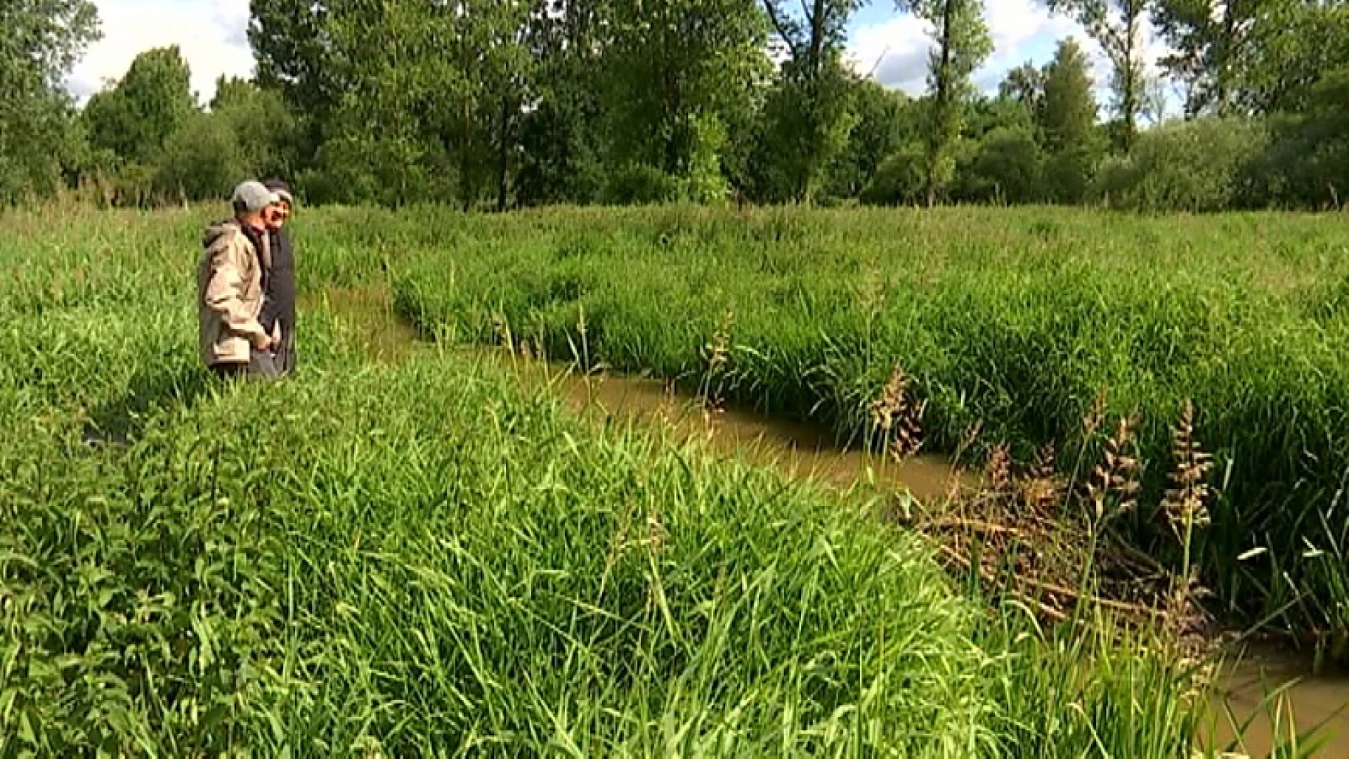 Bever vindt nieuwe thuis in natuurgebied Demerbroeken in Scherpenheuvel-Zichem