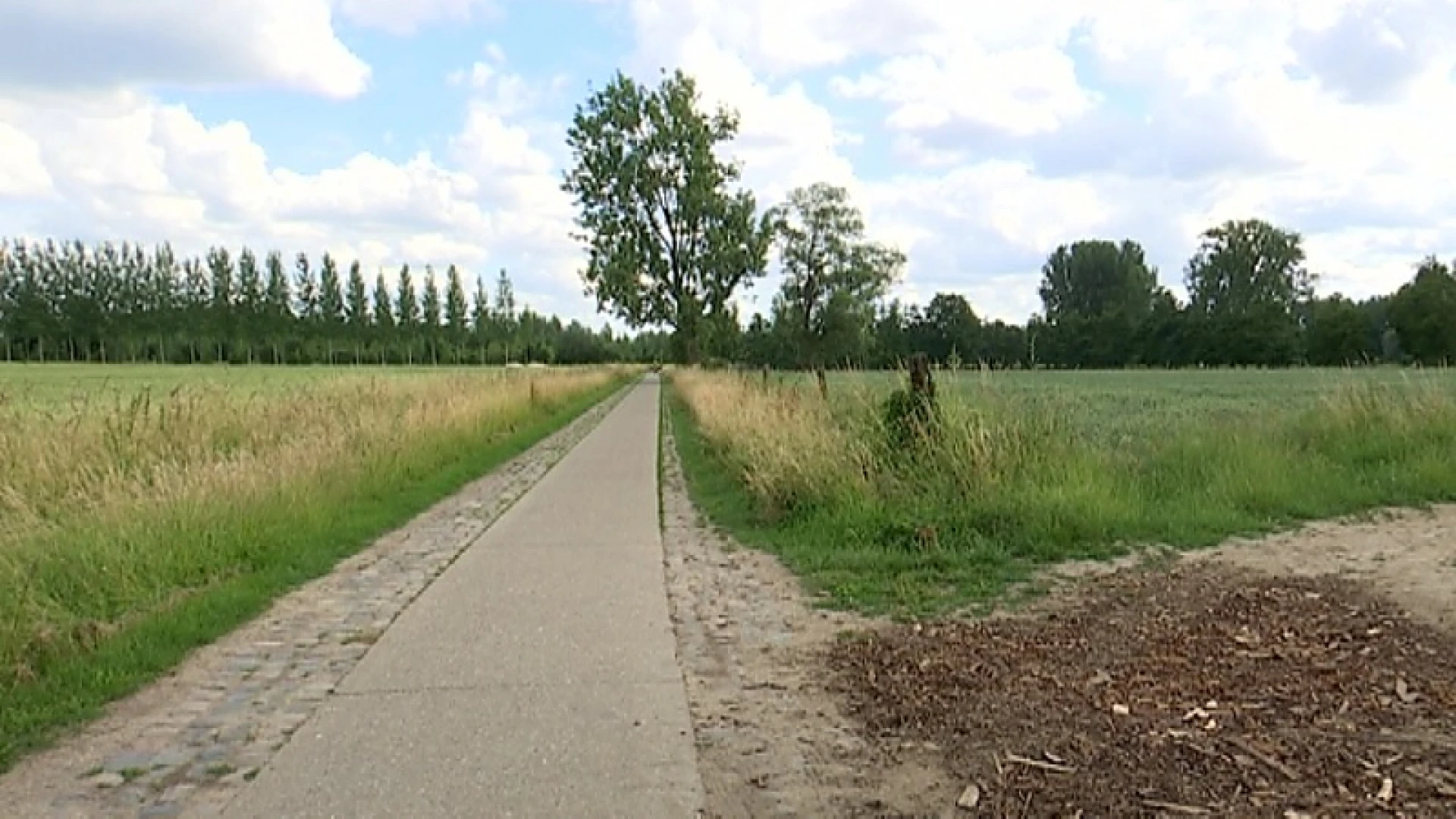 Vrouw aangevallen door buizerd in natuurgebied Wijgmaalbroek in Leuven