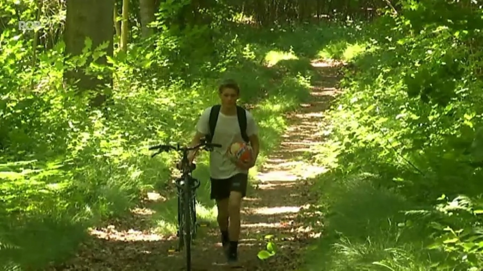 Hoofdafbeelding voor artikel Het wordt droog, bossen krijgen…