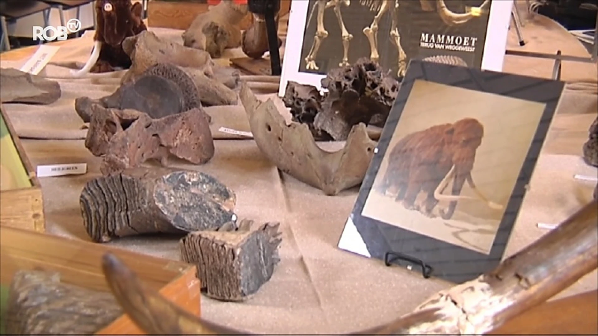 Werd er vroeger gejaagd op mammoeten in Rotselaar? Archeologen KU Leuven doen oproep