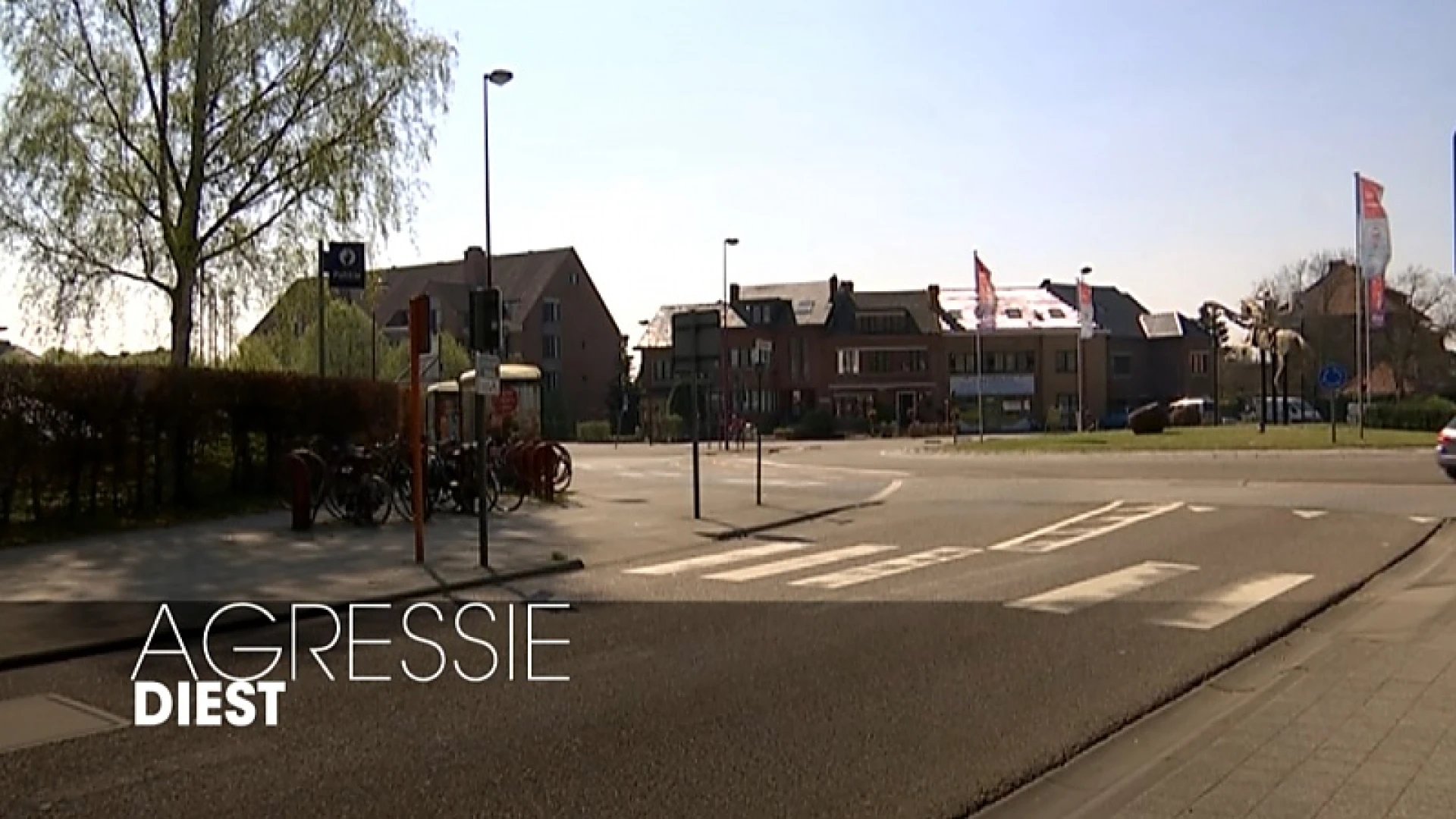 Meisje (18) maakt het erg bont tijdens politiecontrole in Diest