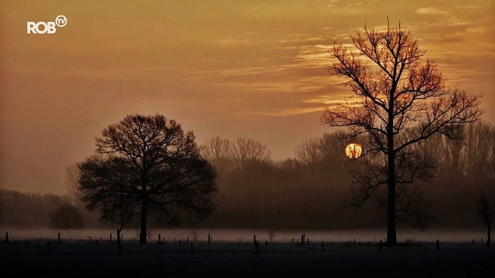 Magische zonsopgang in Haacht: foto van Chris wordt tentoongesteld in Athene