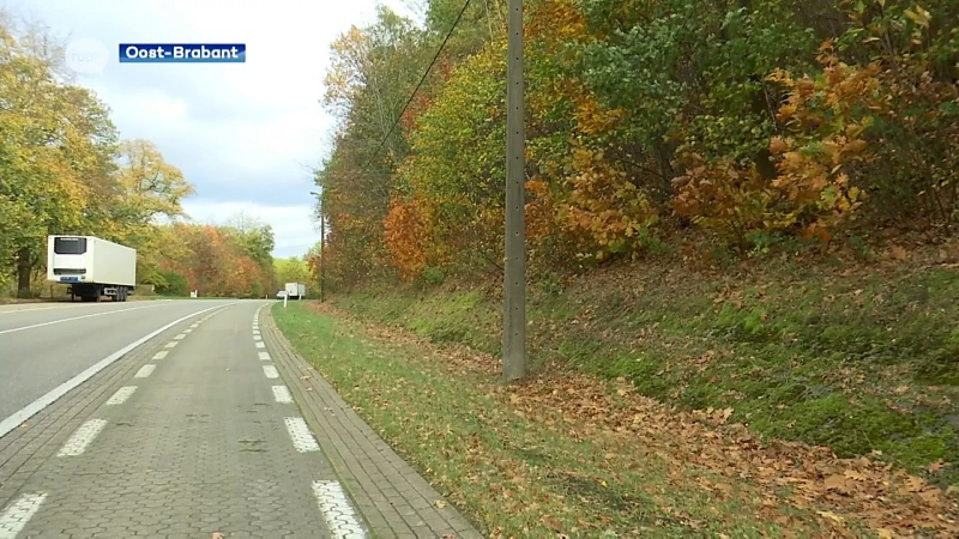 Grondig snoeiwerk langs snel- en gewestwegen in onze regio