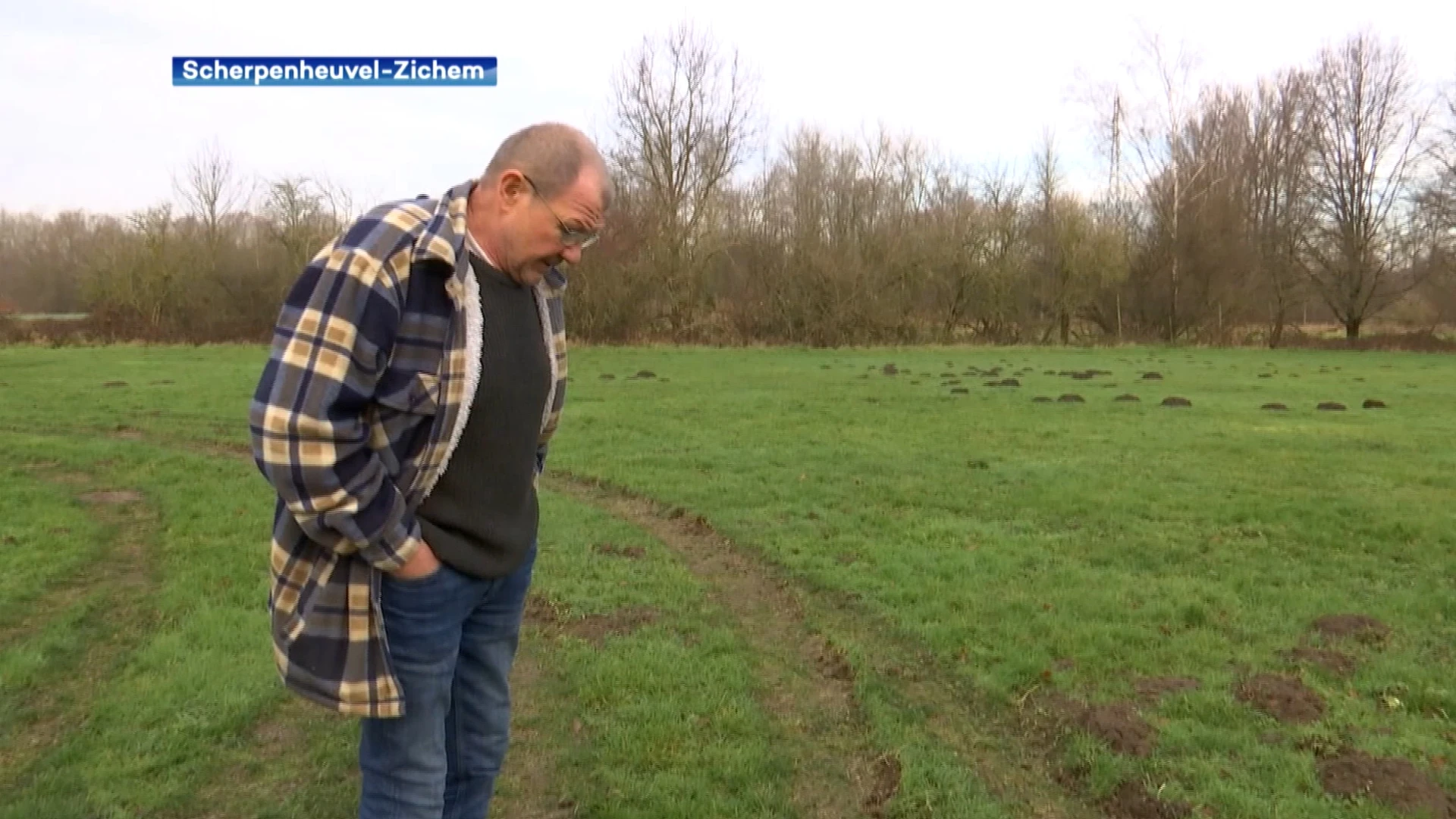 Alweer vandalisme op voetbalveld in Messelbroek, getuige ziet 3 auto's wegrijden