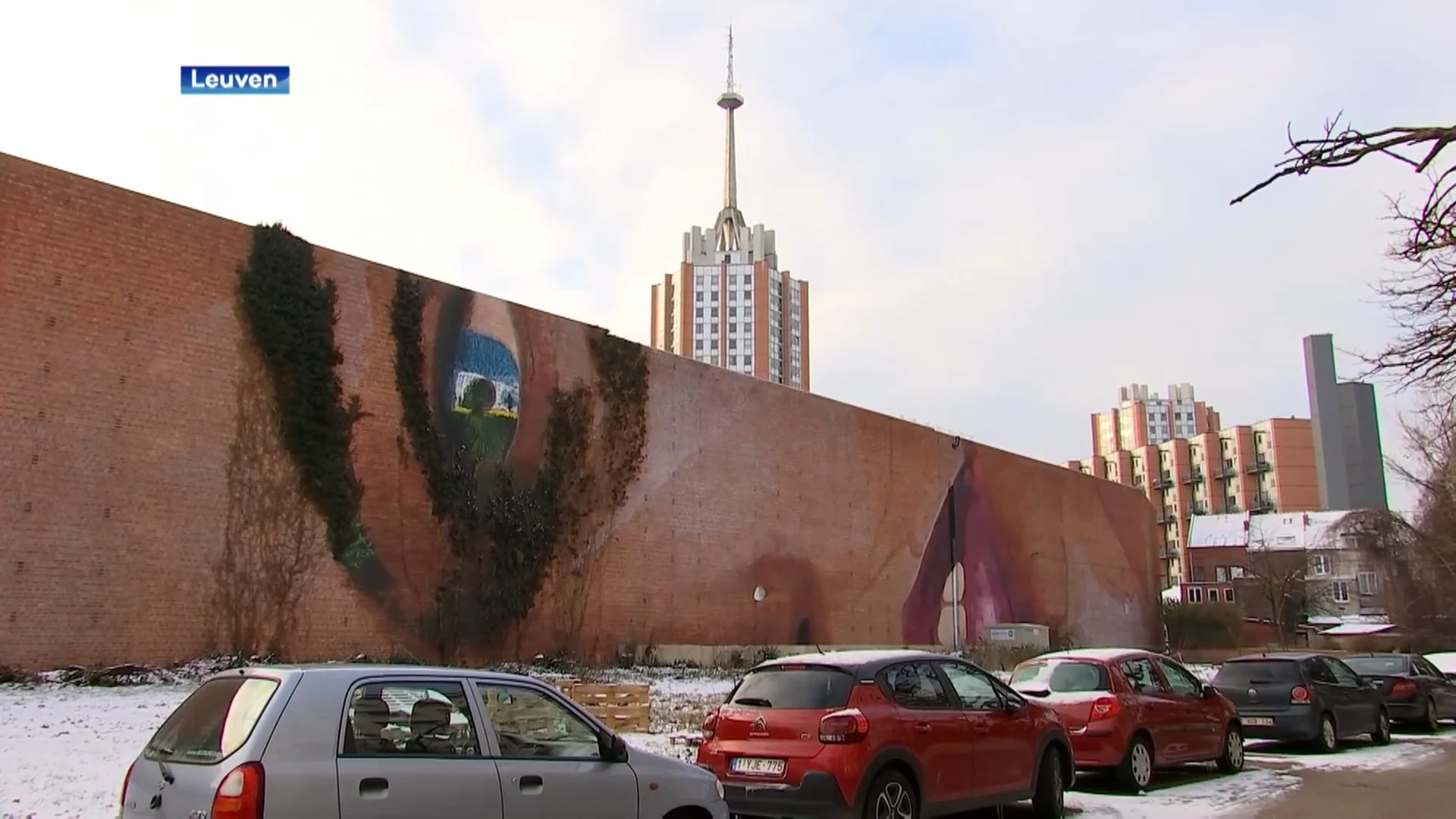 Nieuwe streetart in Leuven: piepend meisje duikt op tussen klimop