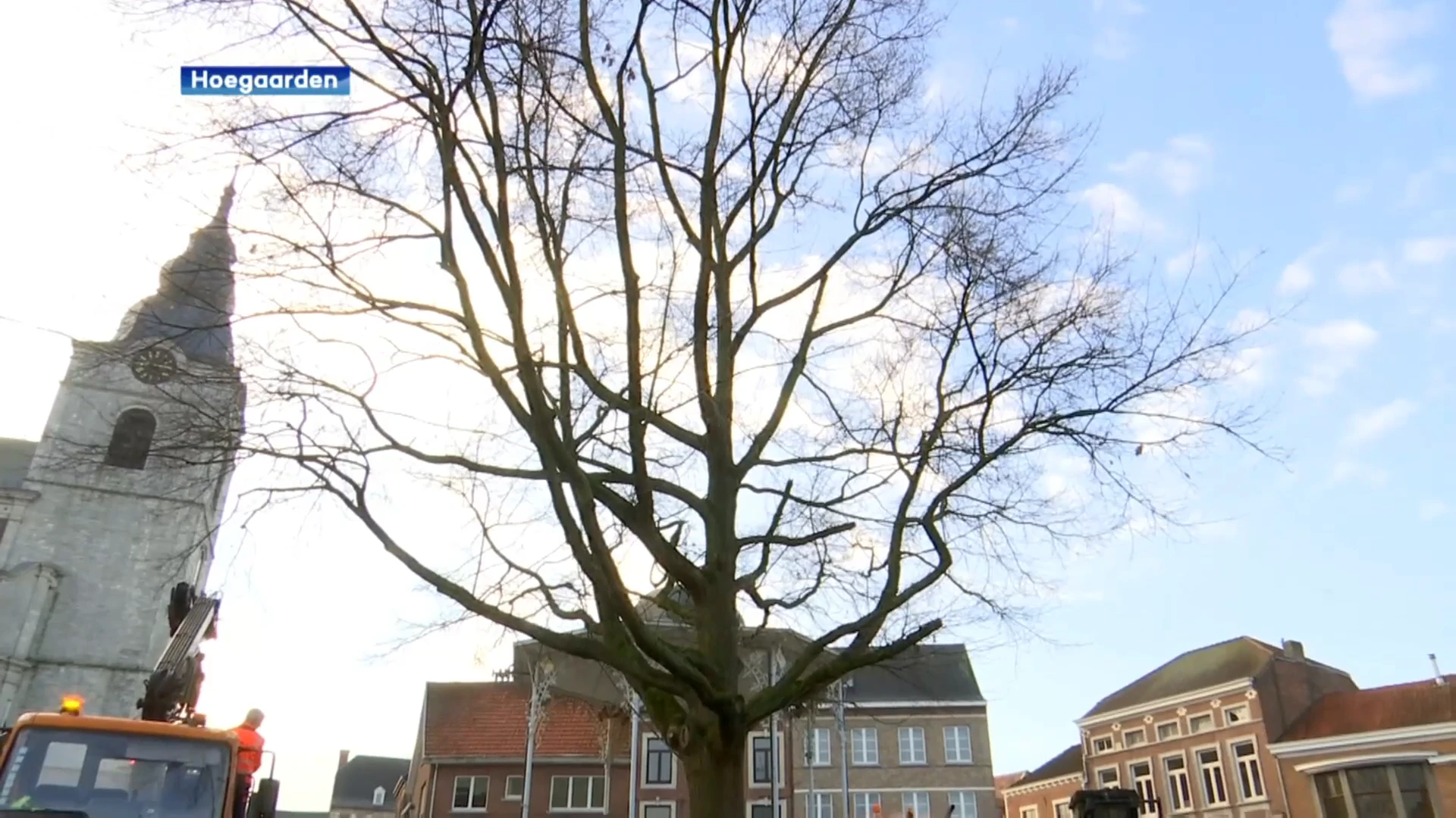 Vrijheidsboom krijgt grotere standplaats in Hoegaarden