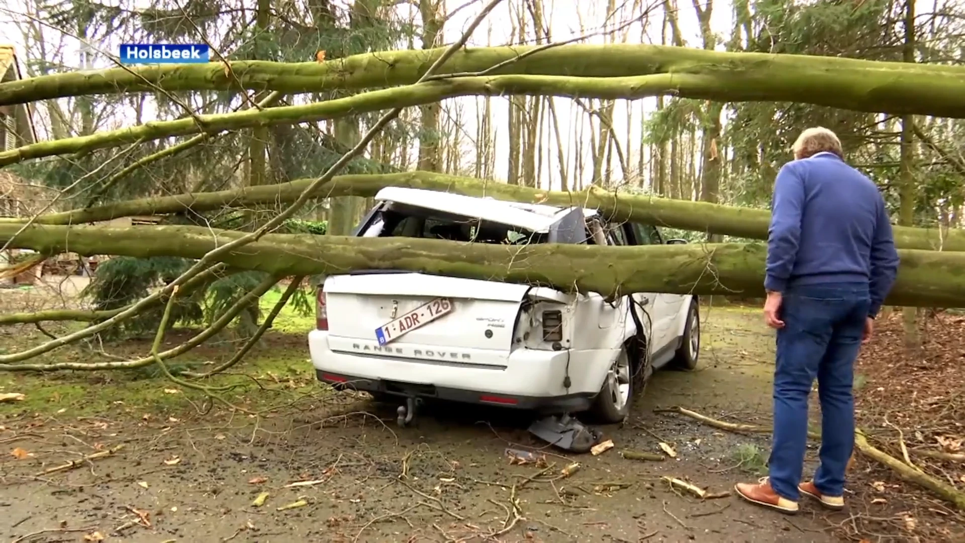 Twee vrouwen ontsnappen op nippertje aan vallende boom, auto is wel zwaar beschadigd: "We hebben geluk gehad"