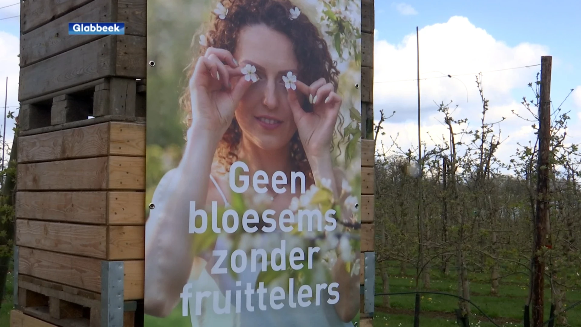 Fruitboeren vragen meer waardering voor hun werk en producten: "Geen bloesems zonder fruittelers"
