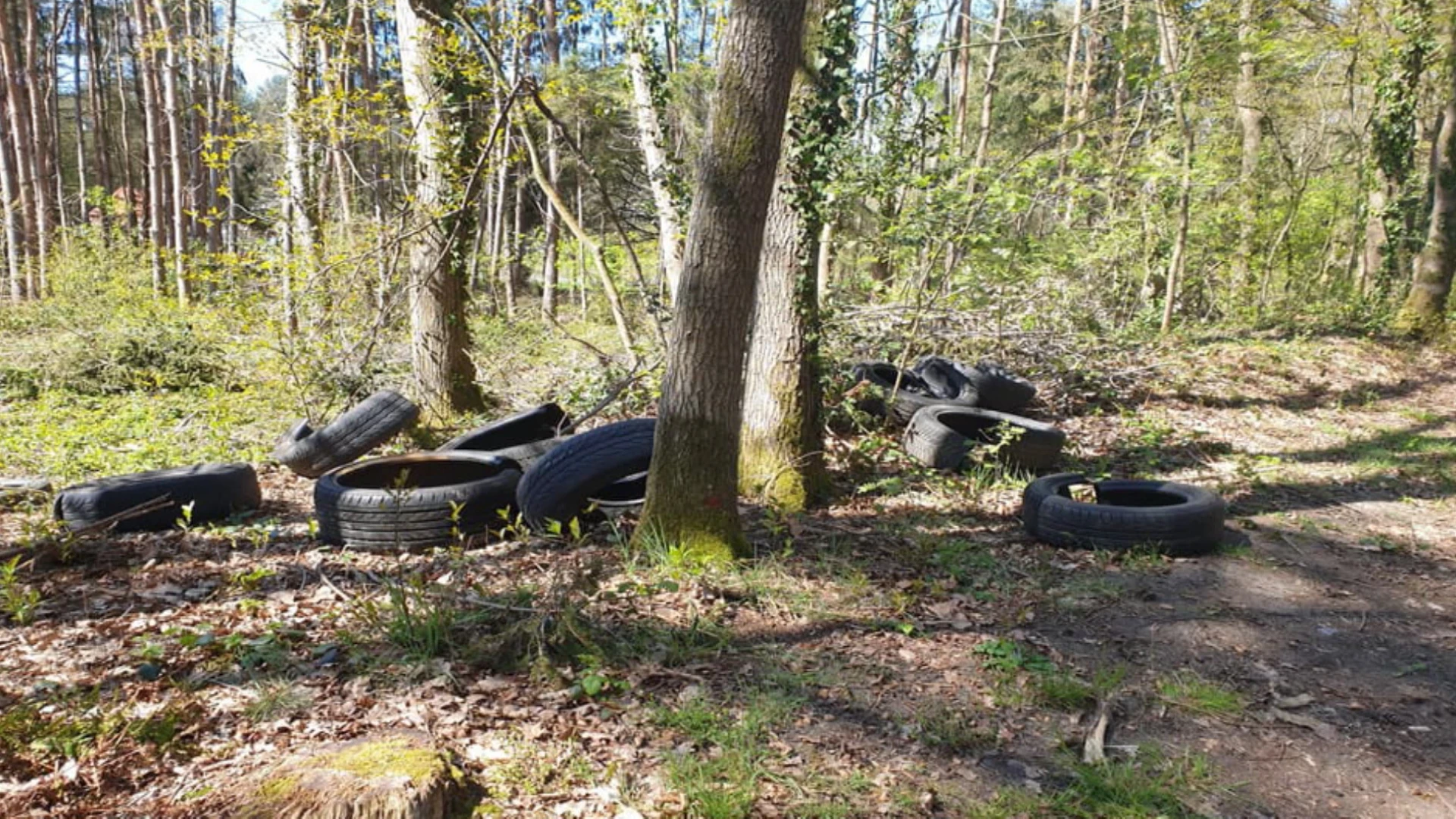 Sluikstorters dumpen grote hoeveelheid banden in Langdorp