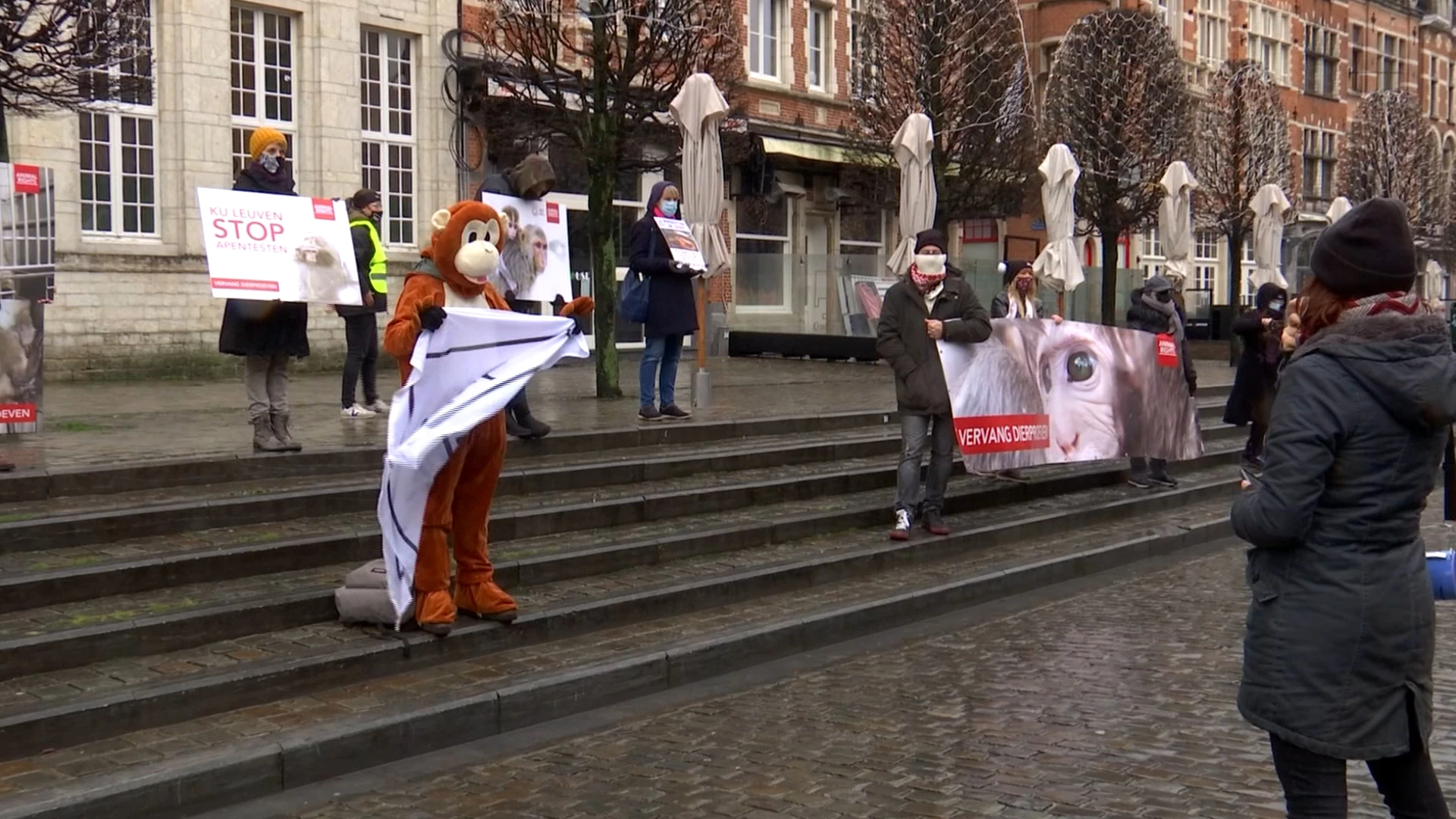Animal Rights verzamelt 100.000 handtekeningen tegen dierenproeven
