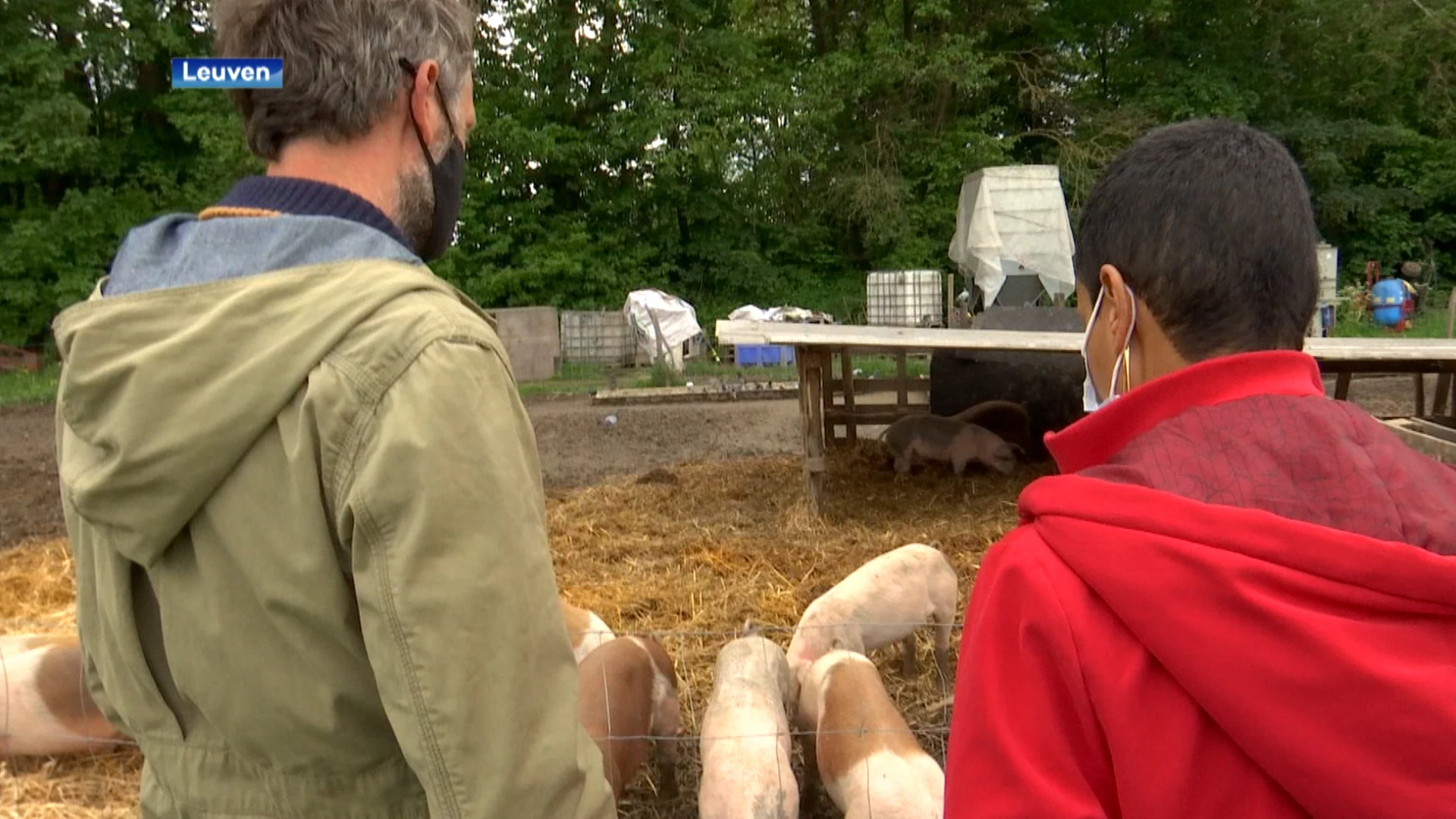 Minister Kitir bezoekt boerderij in Heverlee: "Ik heb geleerd hoe autonoom een landbouwer kan zijn"