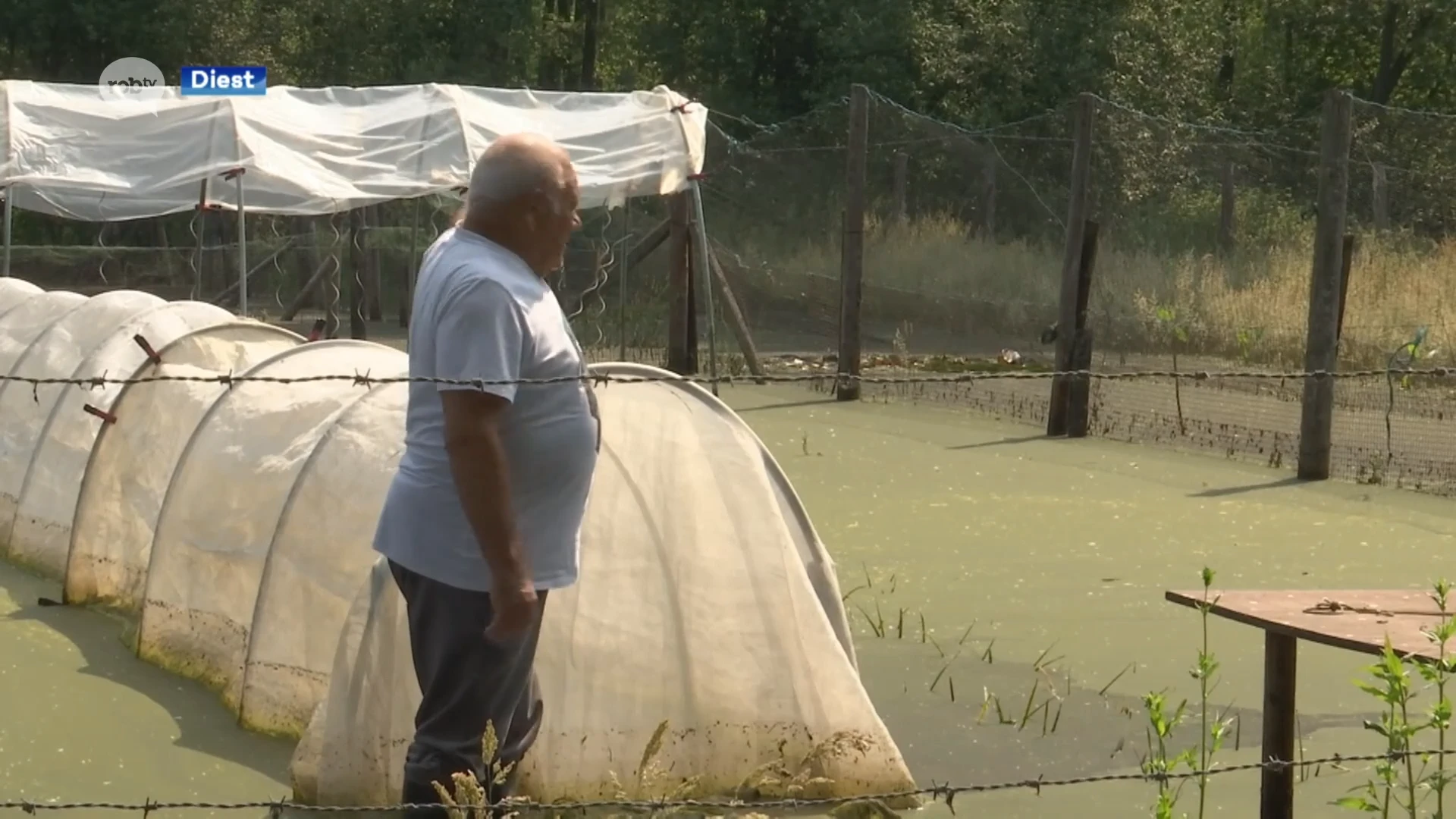 Tuin van een man uit Diest staat al meer dan een maand onder water door een overstroomde beek