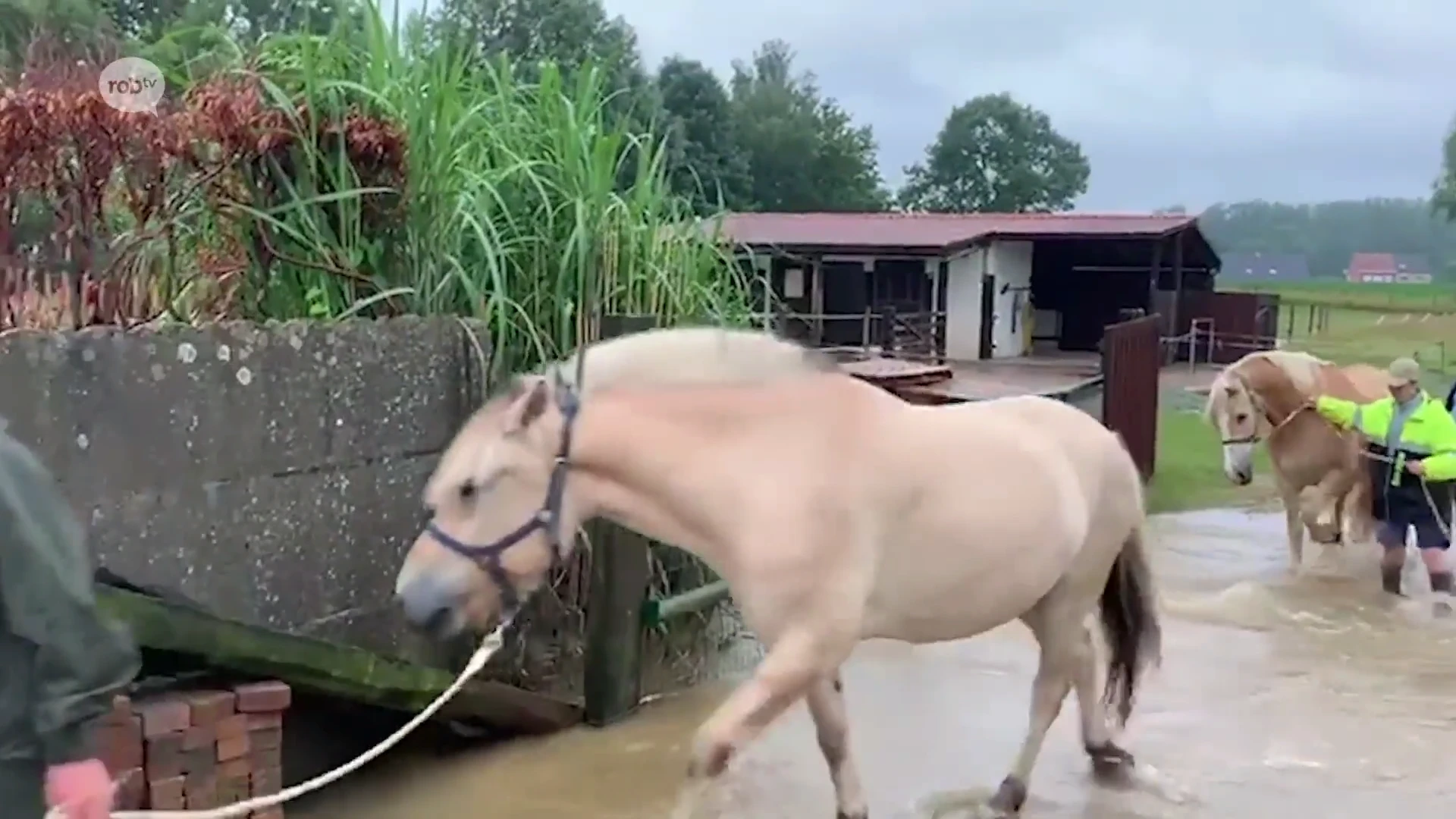 Tielt-Winge begint met evacueren van paarden in de Motte