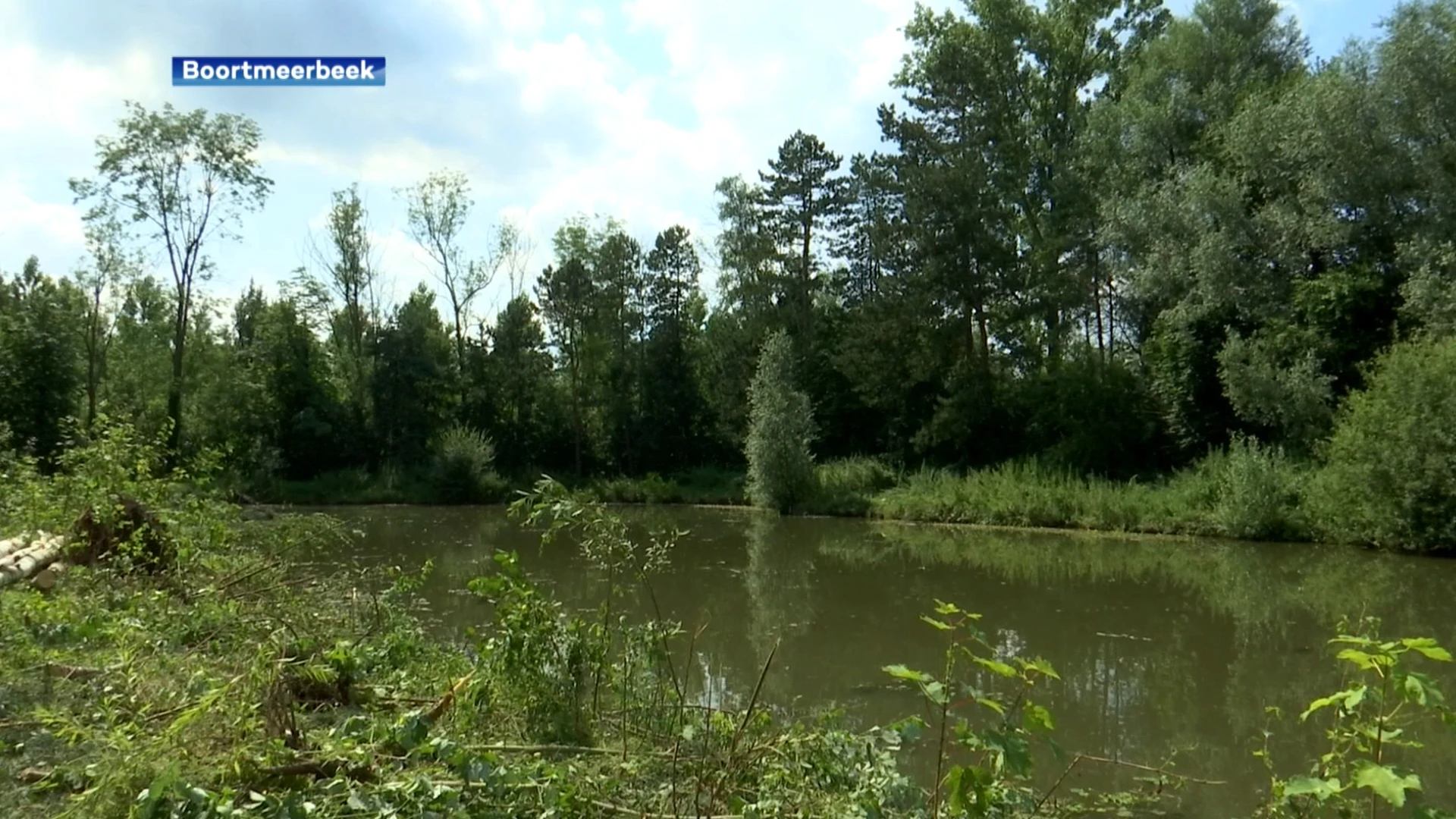 Oude visvijver in Pikhakendonk in Boortmeerbeek wordt nieuwe verblijf voor kamsalamanders