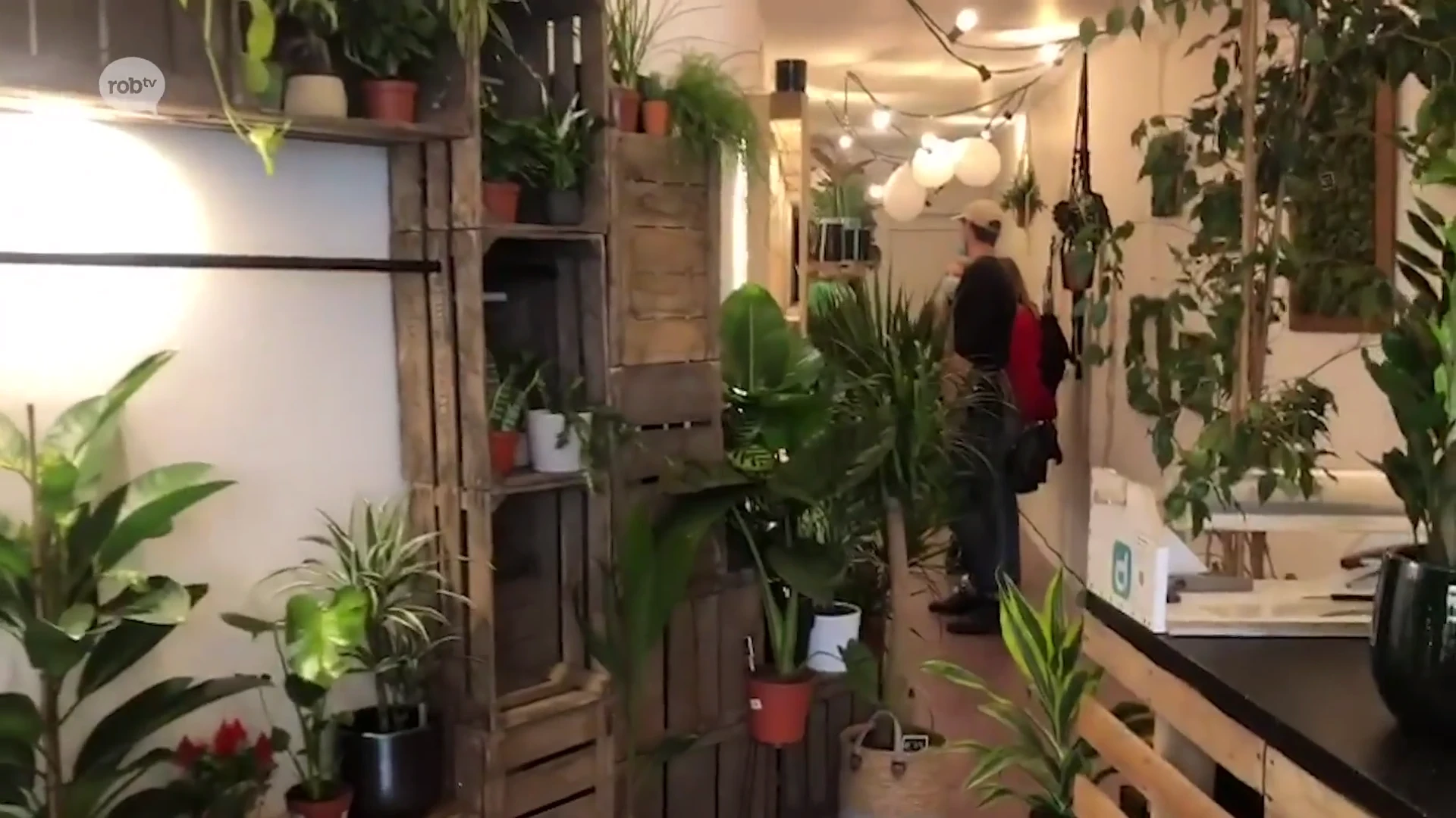 Nieuwe pop-up plantenwinkel helpt studenten met het kiezen van de juiste plant voor op kot