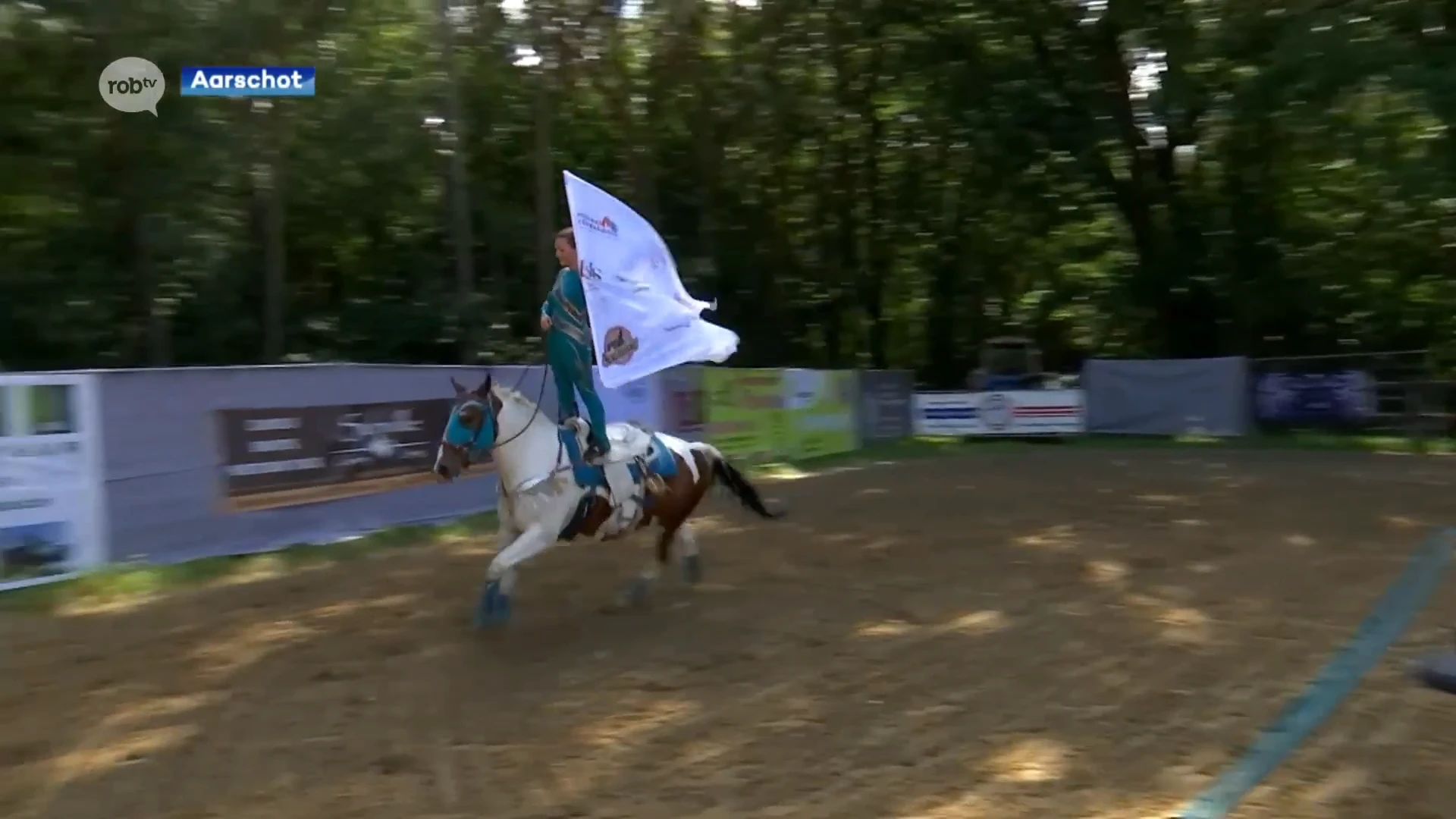 Maurane Wartel uit Testelt wil met trick riding naar Amerika: "Ik wil een ballerina zijn op een paard"