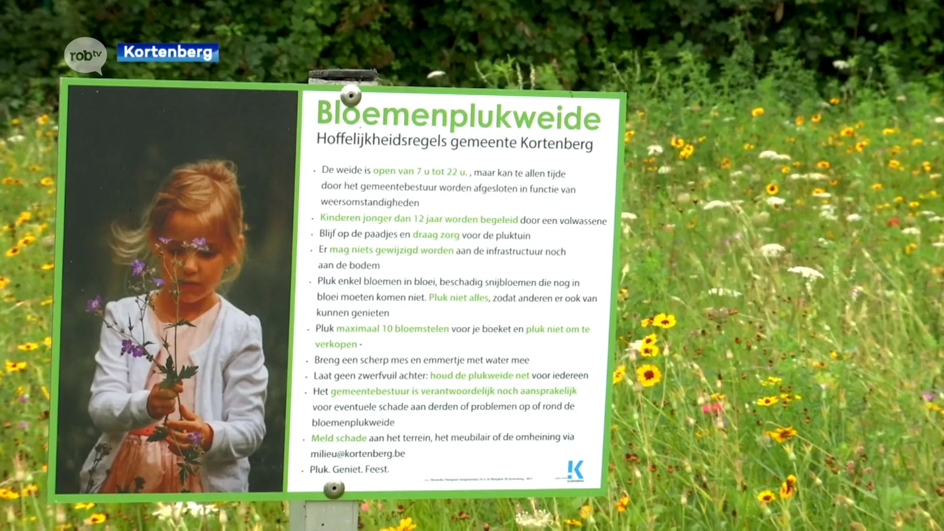 Inwoners van Kortenberg kunnen gratis boeketje samenstellen in bloemenplukweide: "Verscheidenheid aan wilde bloemen"