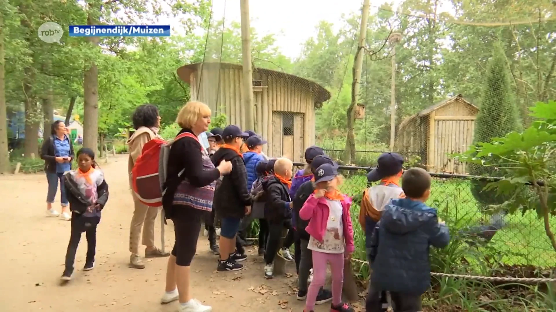 Mooi: gemeente Begijnendijk trakteert 48 kinderen uit Verviers op dagje Planckendael