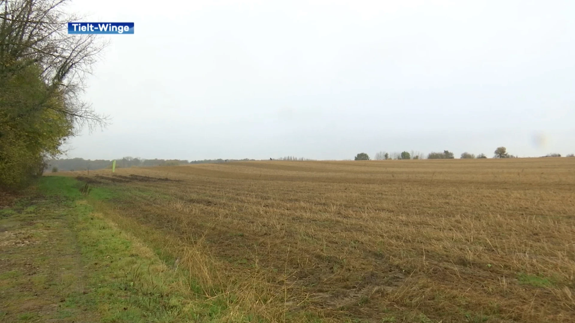 Boekhoutbos in Lubbeek wordt uitgebreid met 8 ha grond uit Tielt-Winge