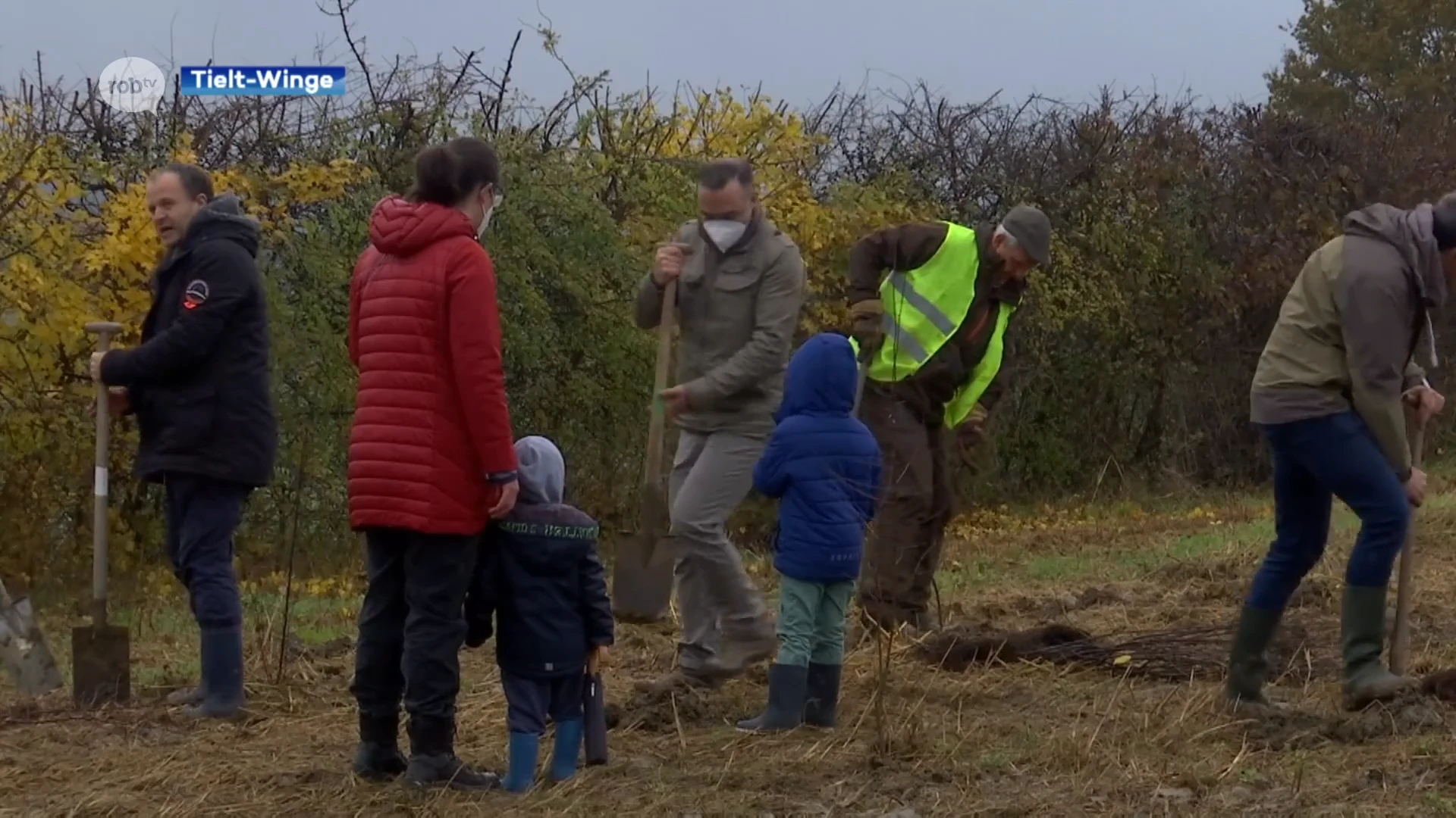 Medewerkers van Fiscadvies planten 2000 bomen voor eigen bedrijfsbos in Tielt-Winge